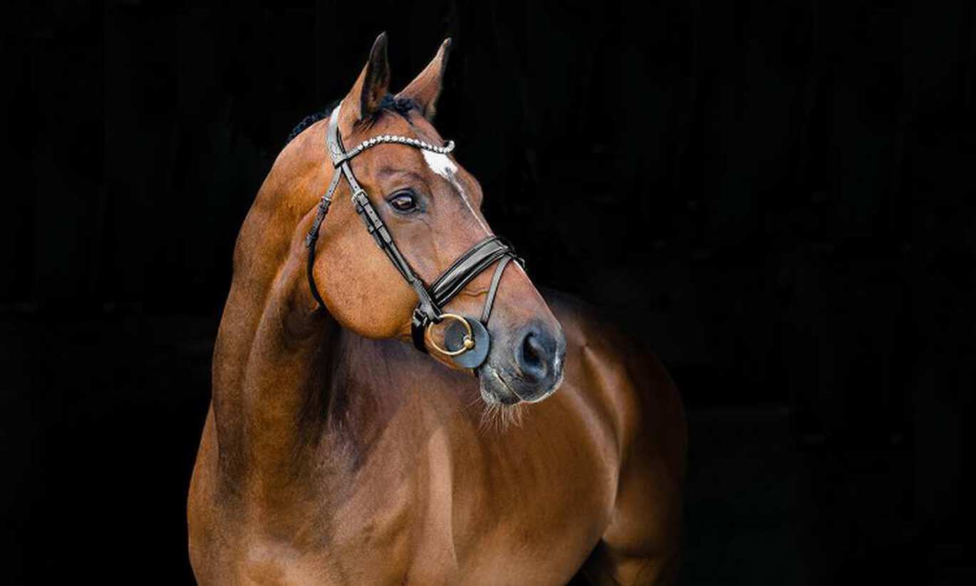 Wanneer gebruik ik welk bit?