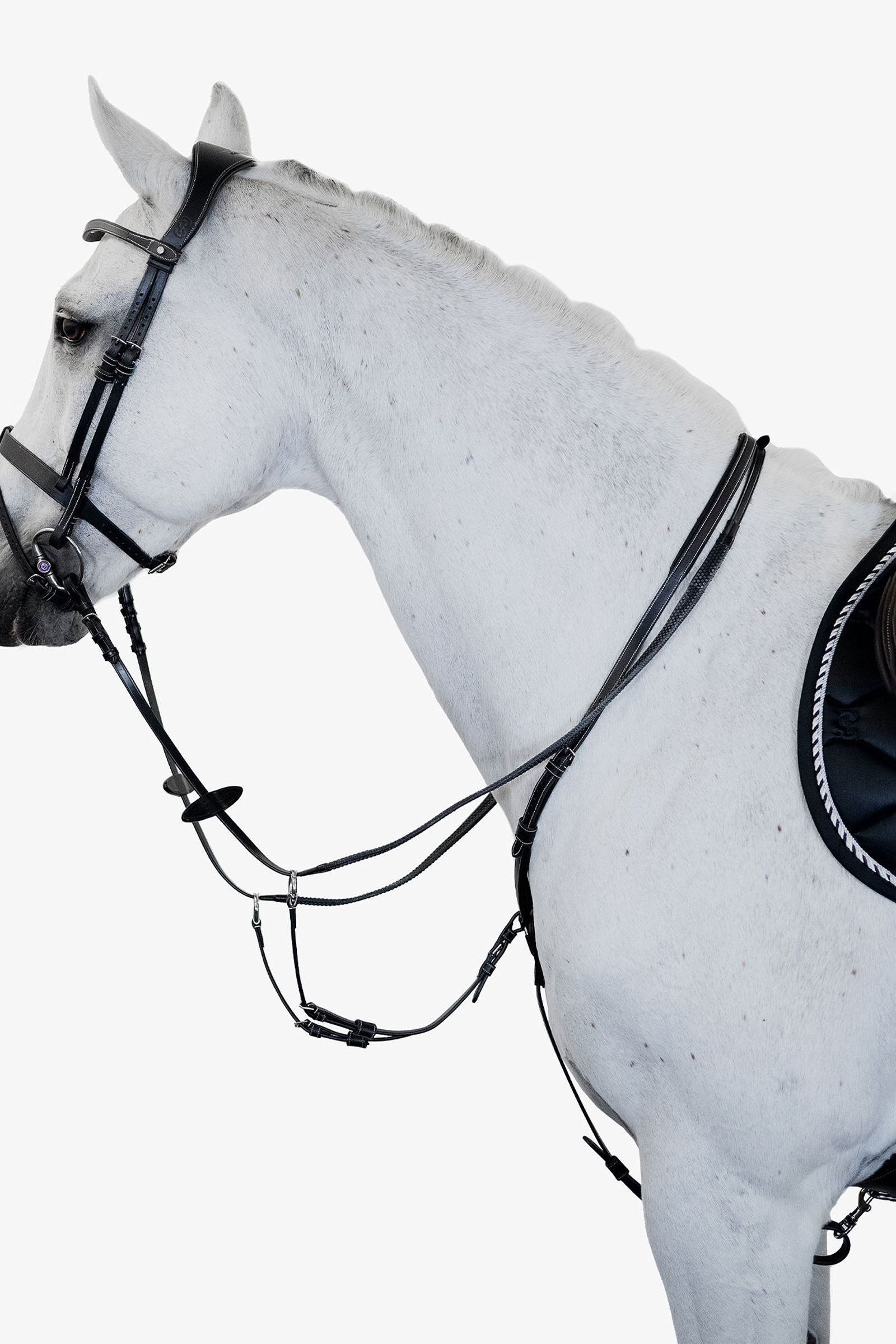 PS of Sweden Seoul Martingale