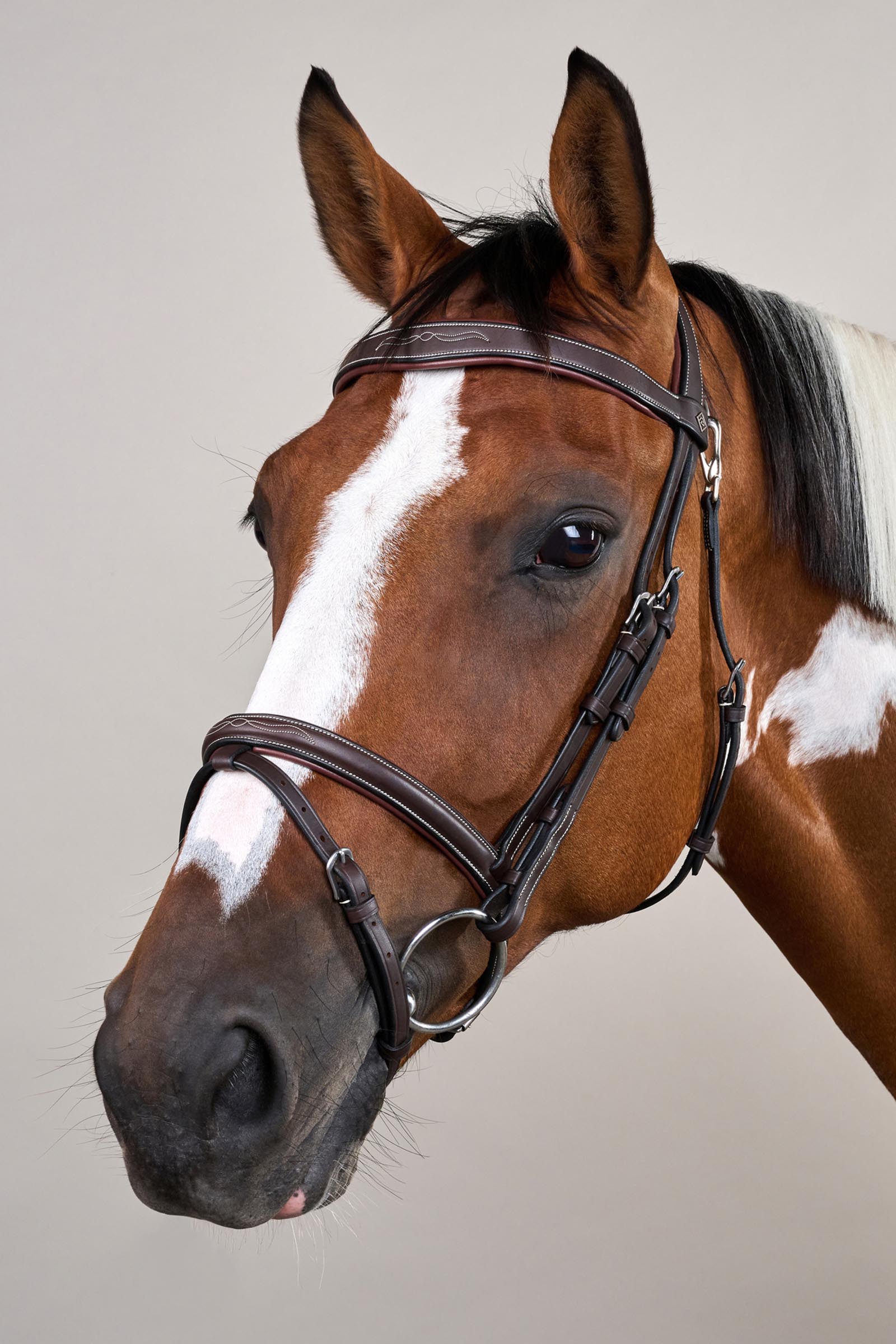 Dy'on Working hoofdstel met gecombineerde neusriem en karabijnhaken  