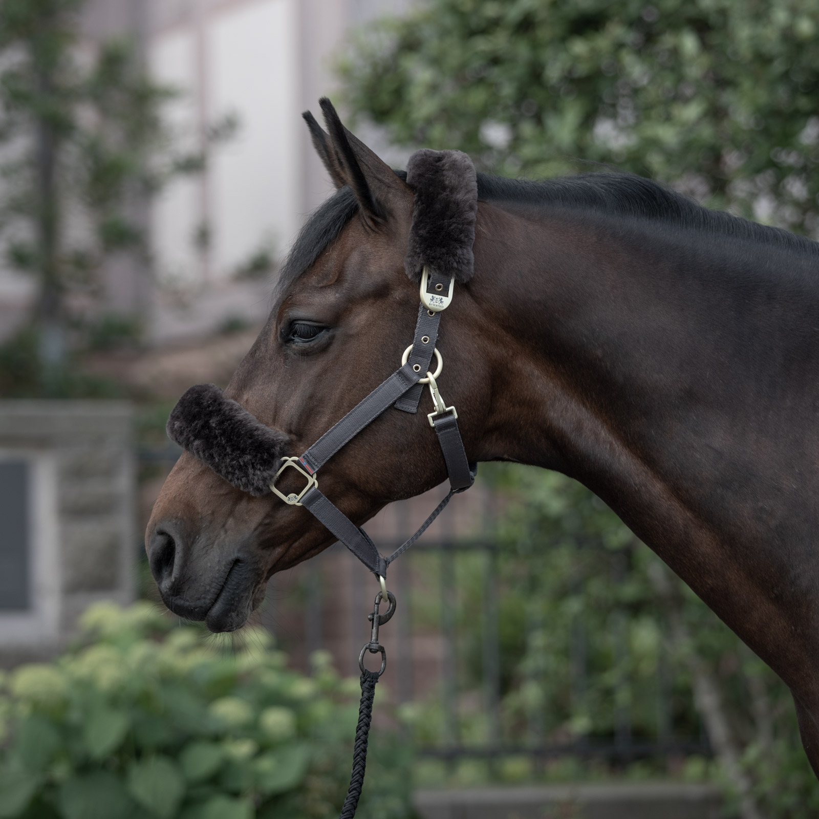 B Vertigo Laurier Halster met lamsvel