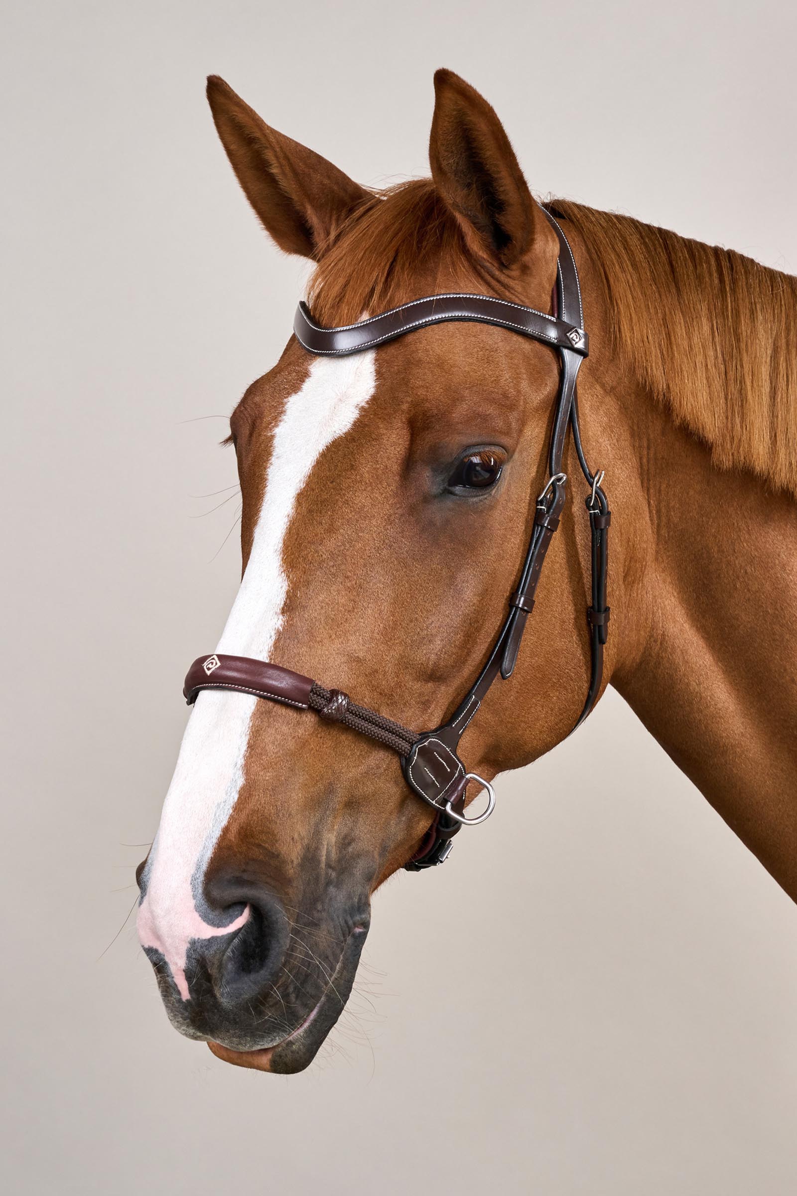 Dy'on Working bitloos hoofdstel  