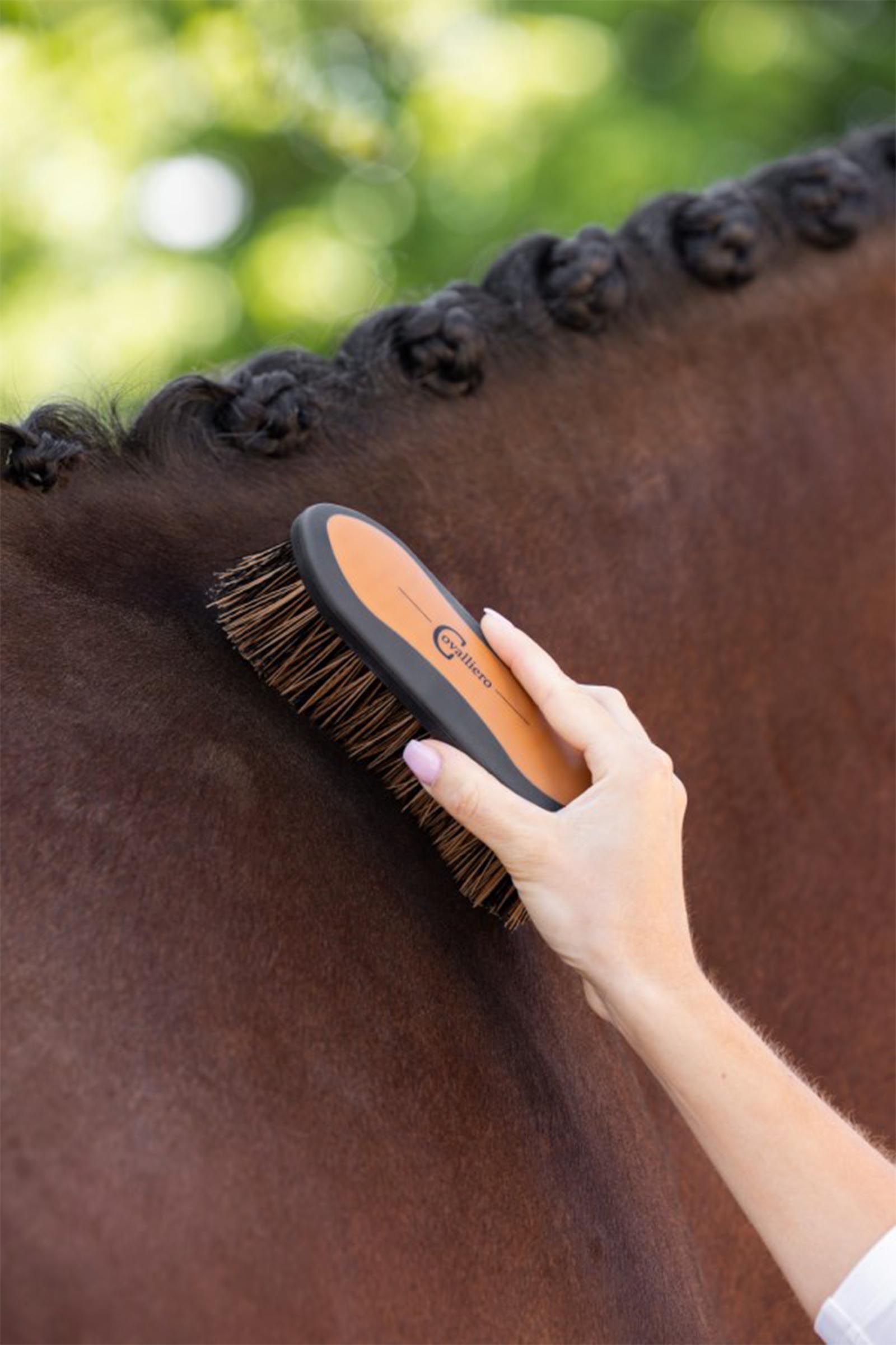 Covalliero 2K Brush, Size 1