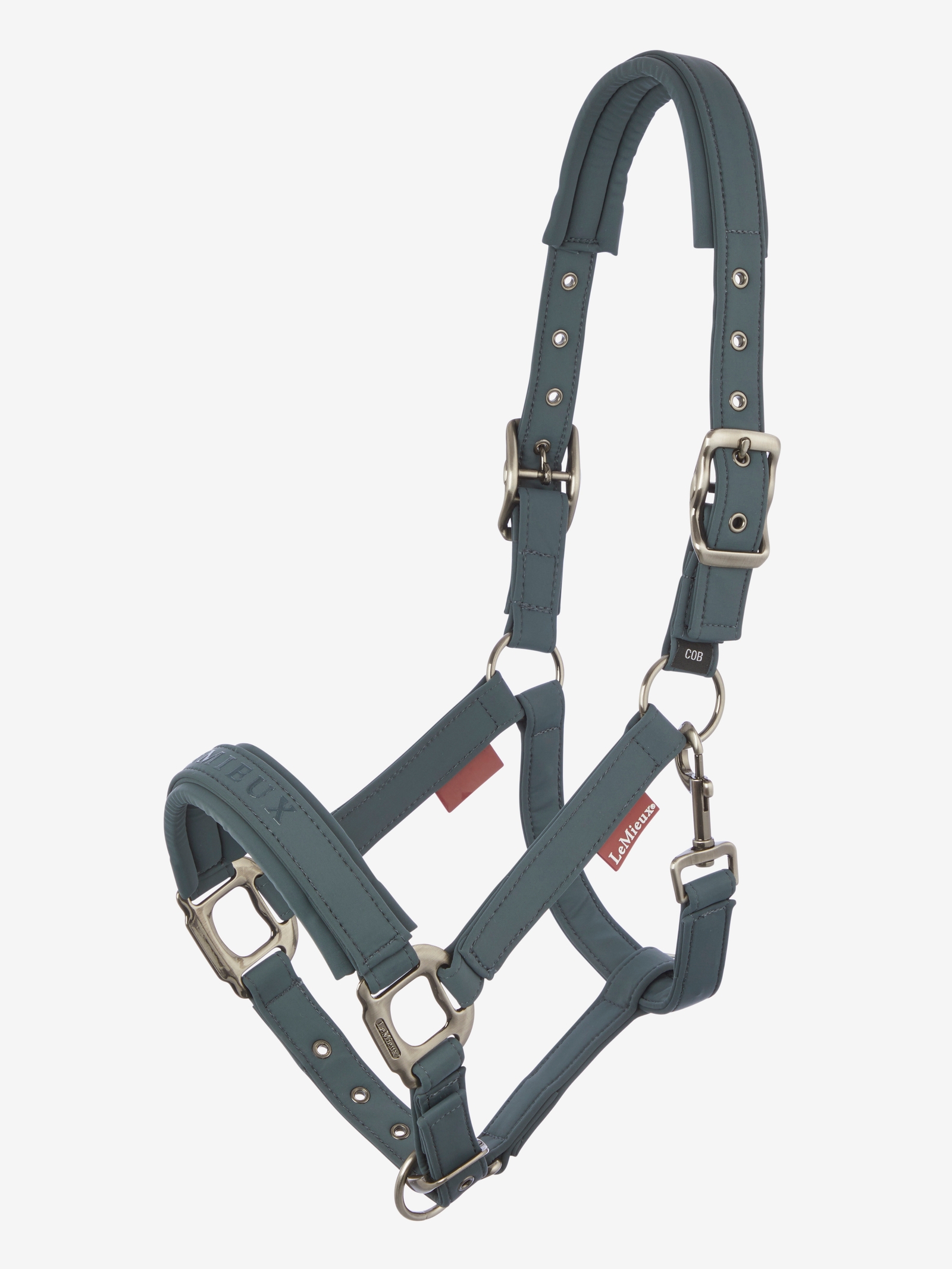 Petrol LeMieux Soft Shell Headcollar
