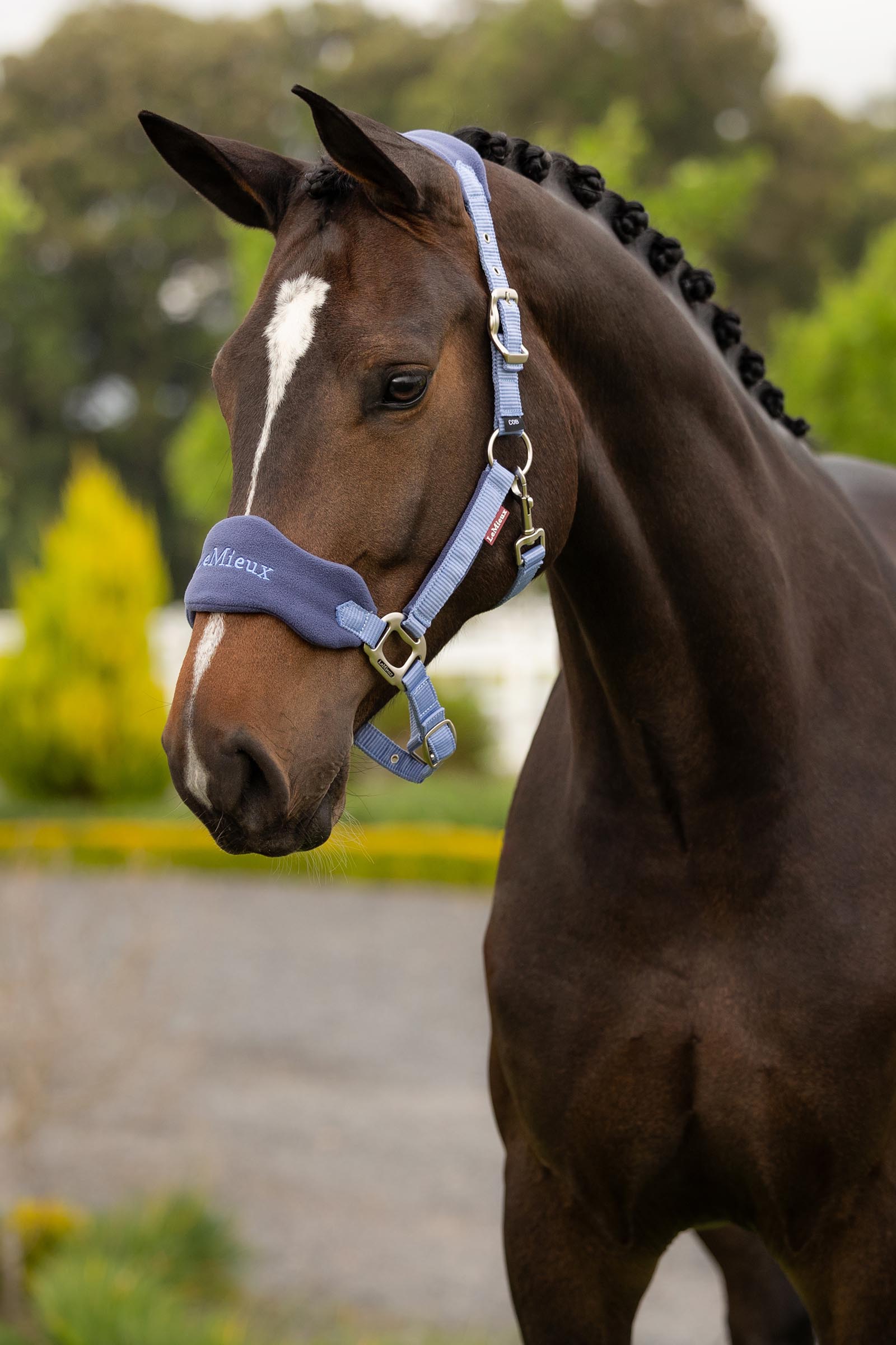 LeMieux Vogue halster en touw set