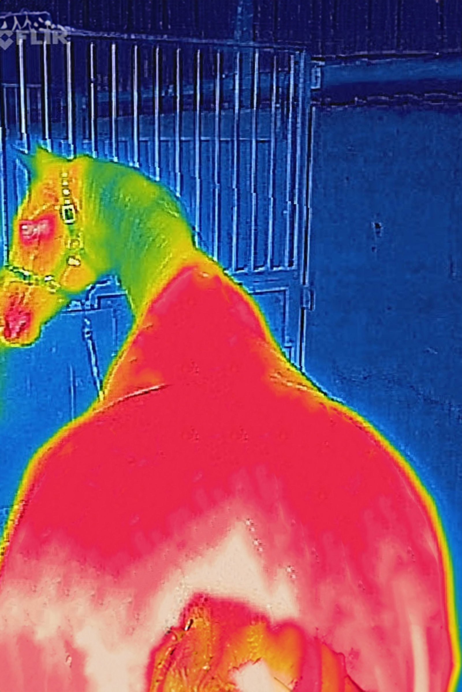 Bucas Therapy Mesh Cooler deken