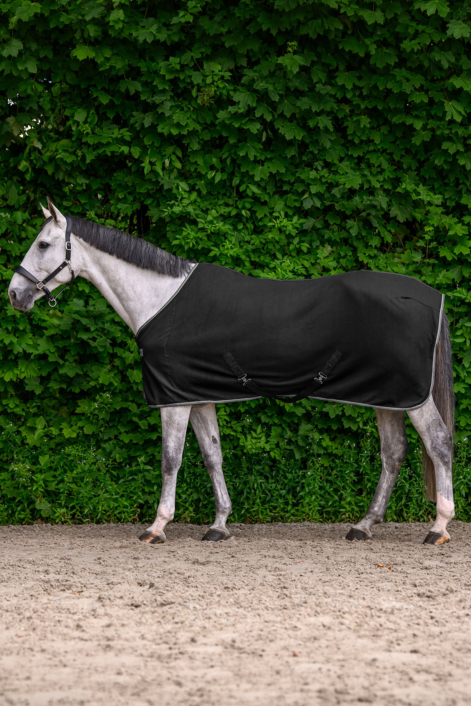 Waldhausen ECONOMIC fleecedeken met kruissingels