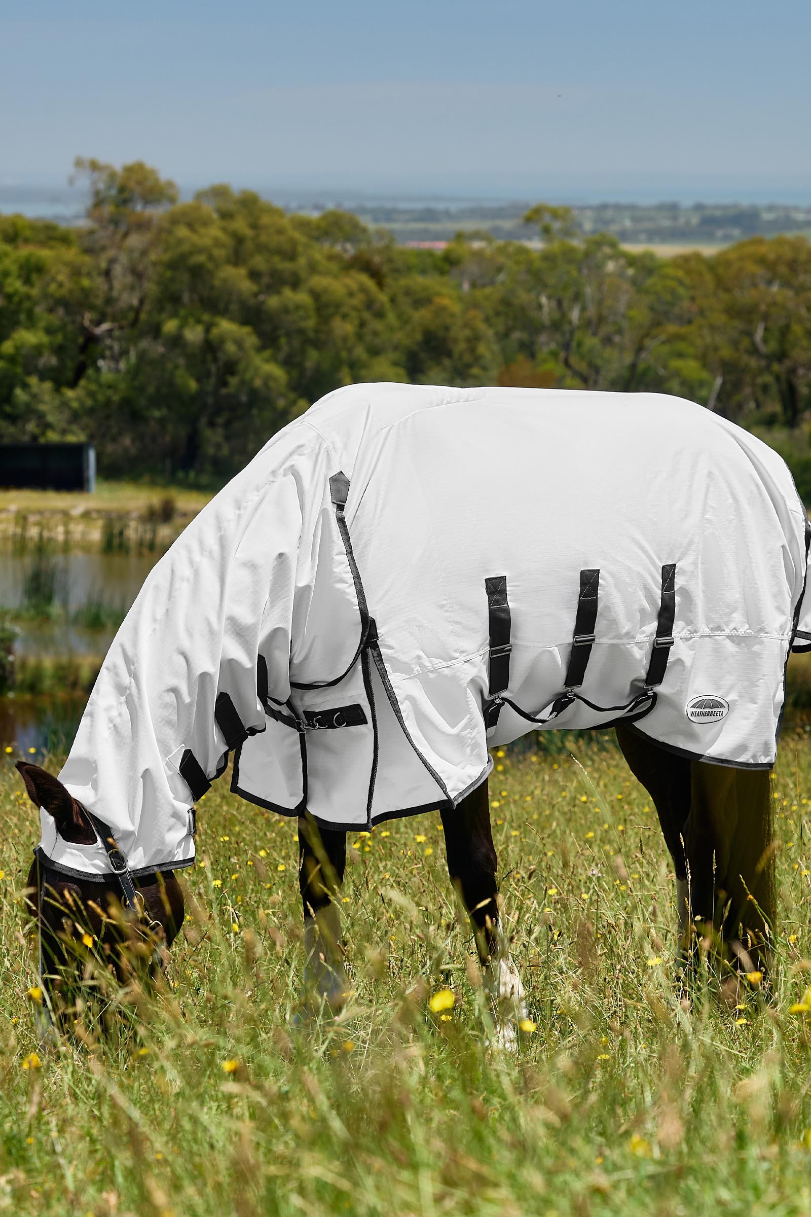 Weatherbeeta ComFiTec Sweet Itch Shield Vliegendeken combo met vaste hals, 0 g  