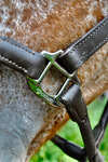 Catago leather halter with round-stitched noseband