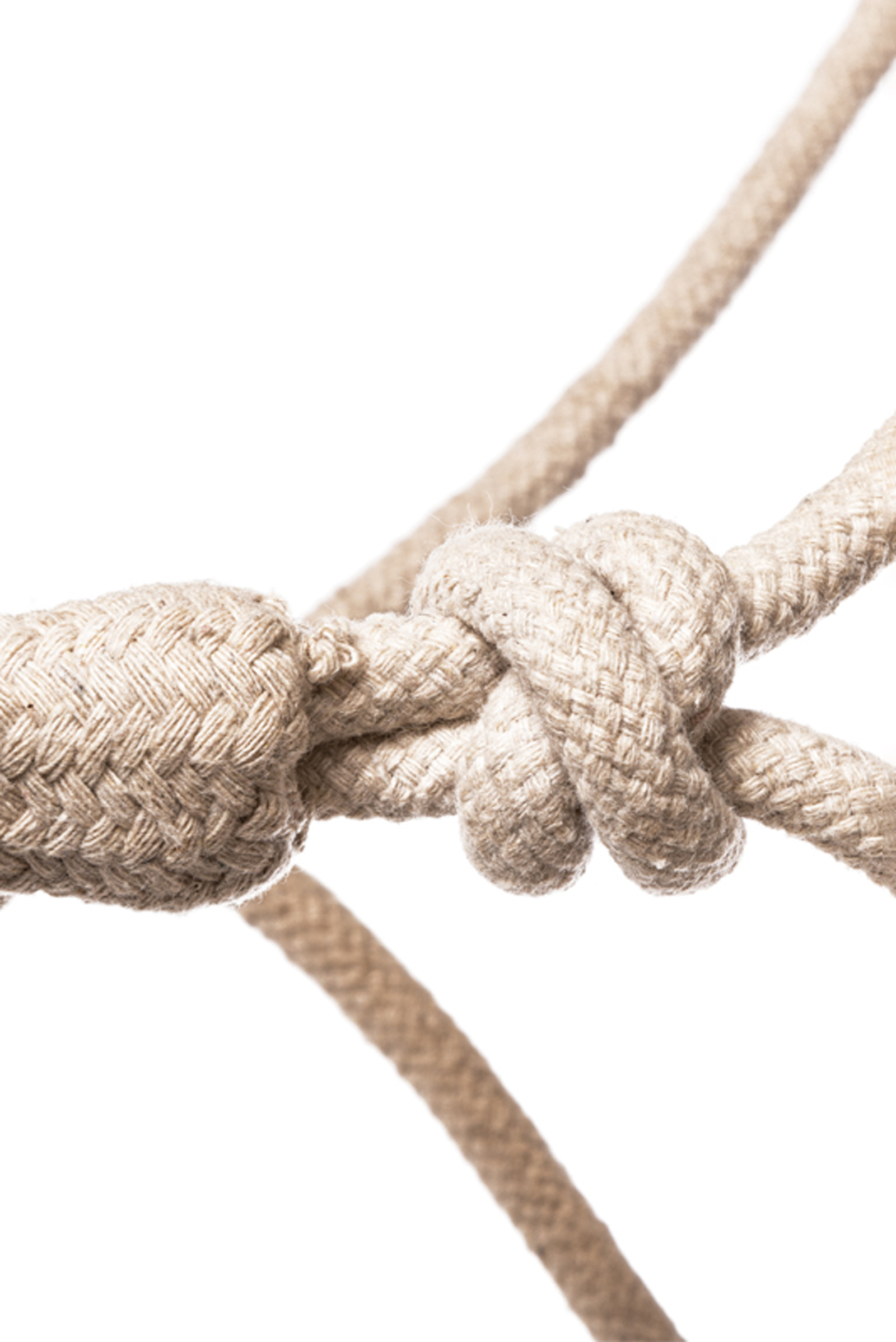 Kavalkade Knoop halster van touw