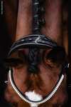 Schockem&ouml;hle Sports Bella Rose Double Bridle - Isabell Werth Collection