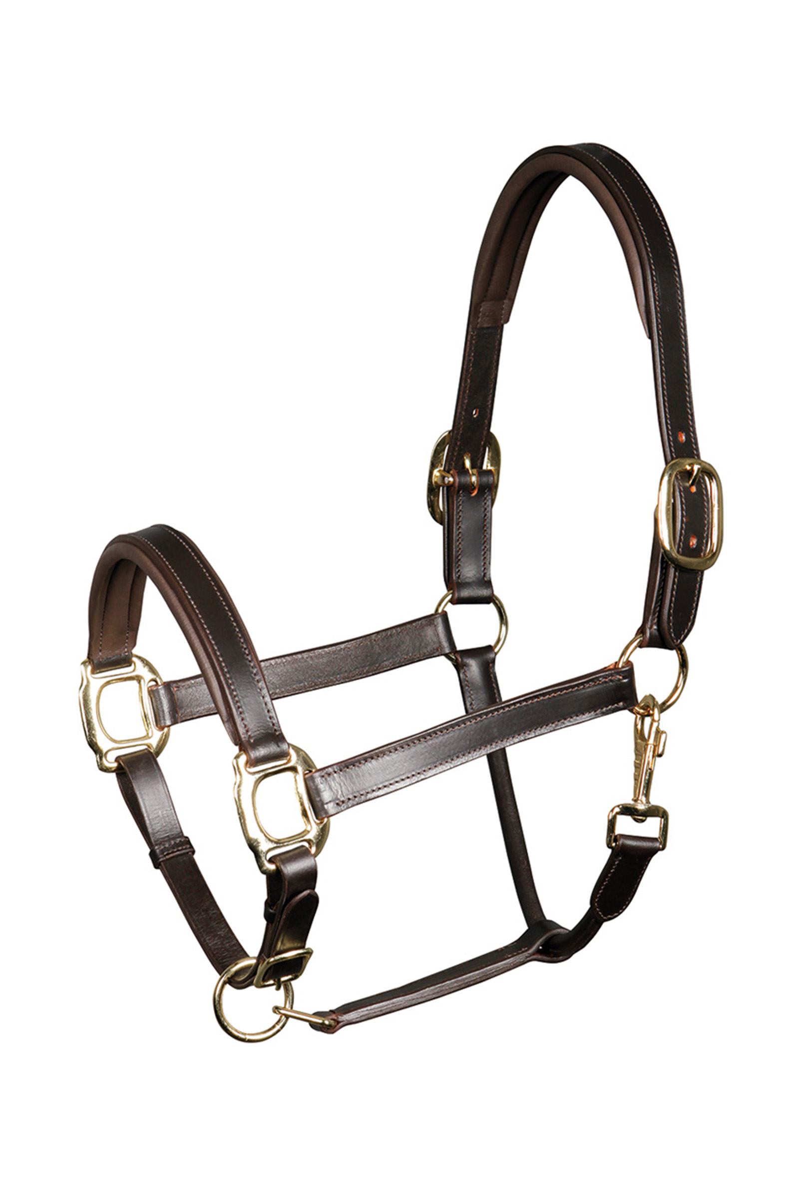 Harry's Horse Halster leder Padded
