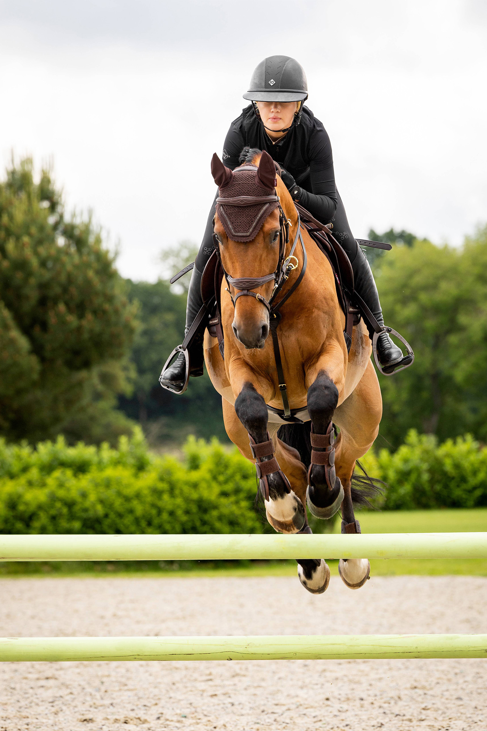 LeMieux Crystal Vliegennetje
