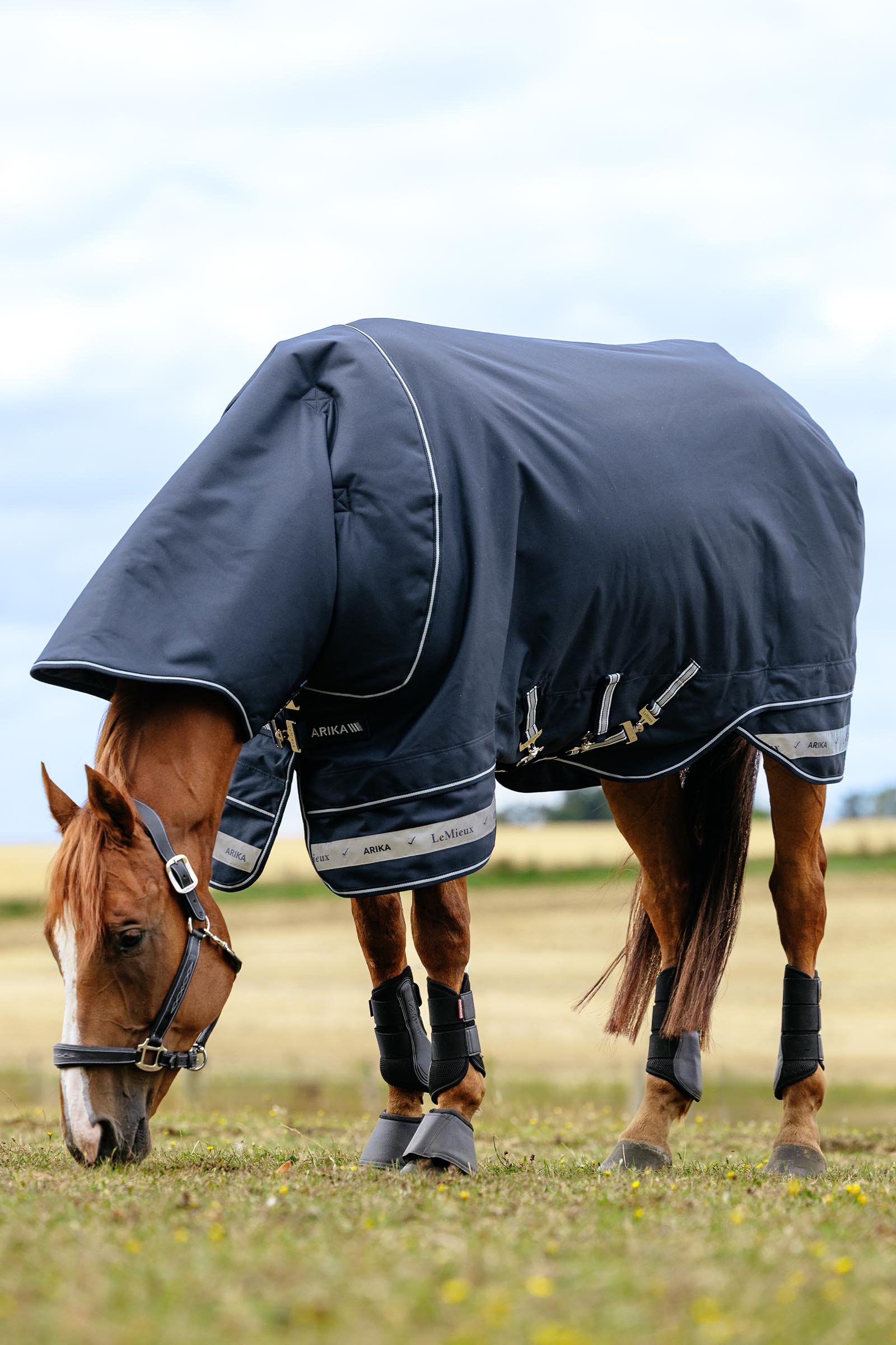 LeMieux Arika Storm-Tek regendeken, 350 g