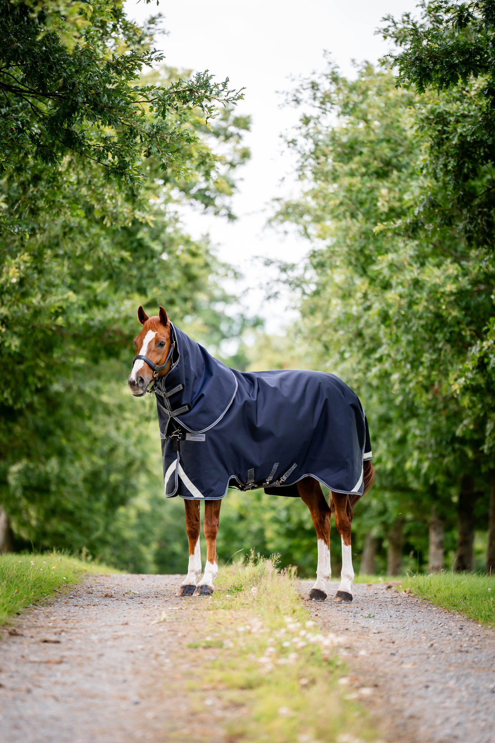 Horseware Rambo 1680D Plus Vario Layer turnoutdeken, 250 g