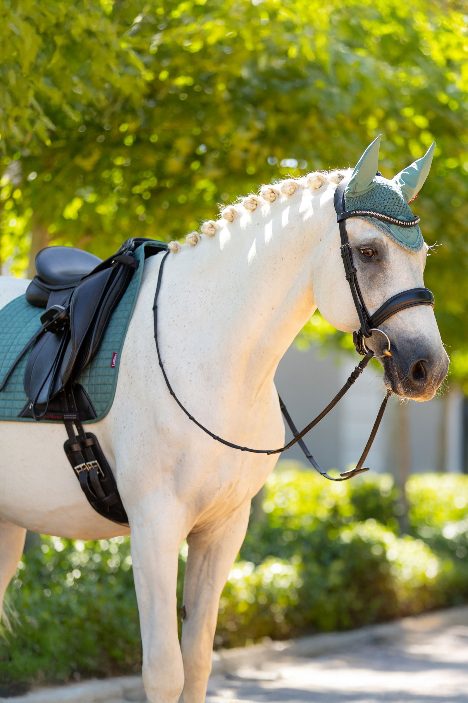 LeMieux Suede dressuurzadeldek