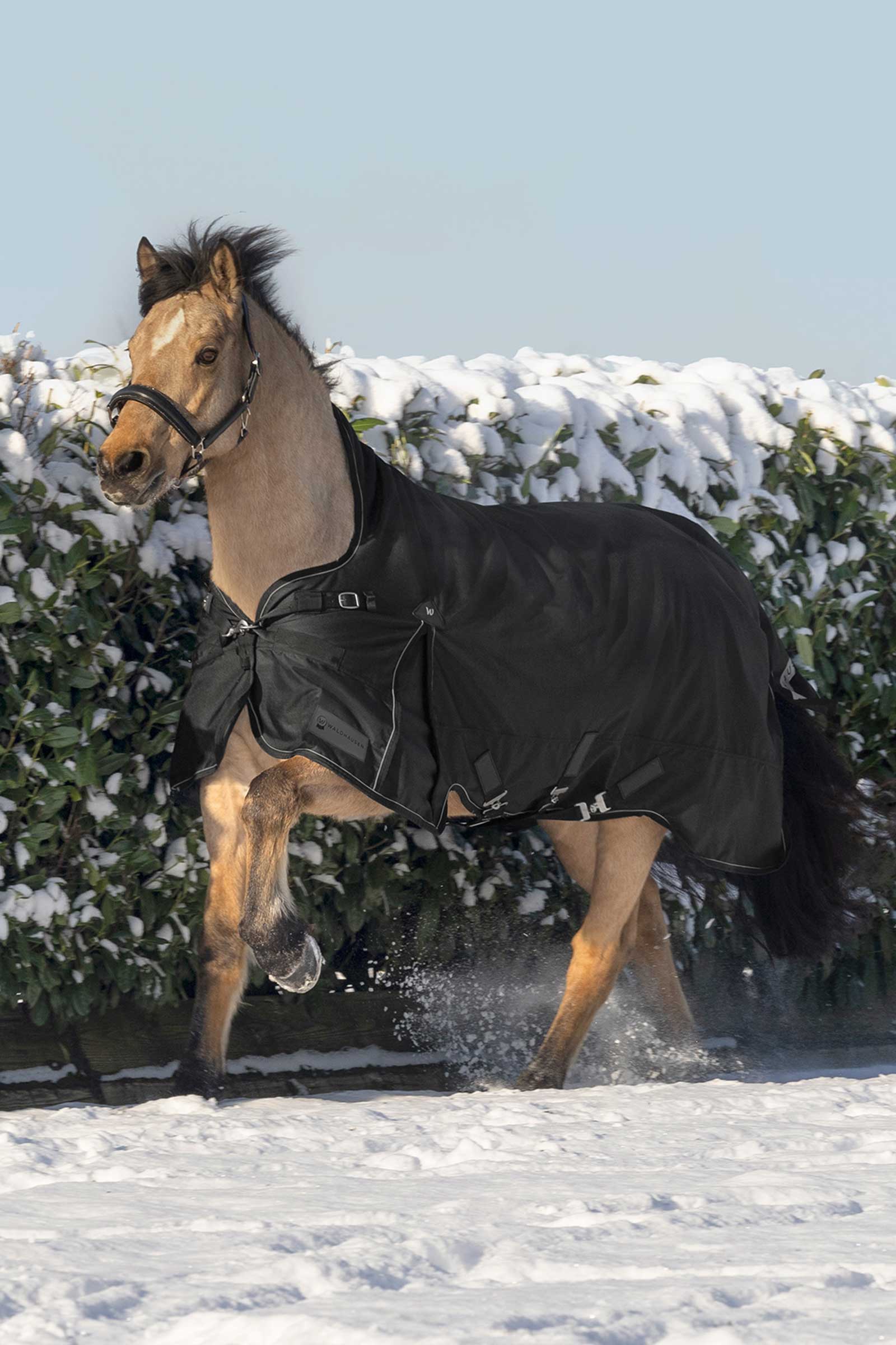 Waldhausen Scandic Outdoordeken met hoge hals, 200 g