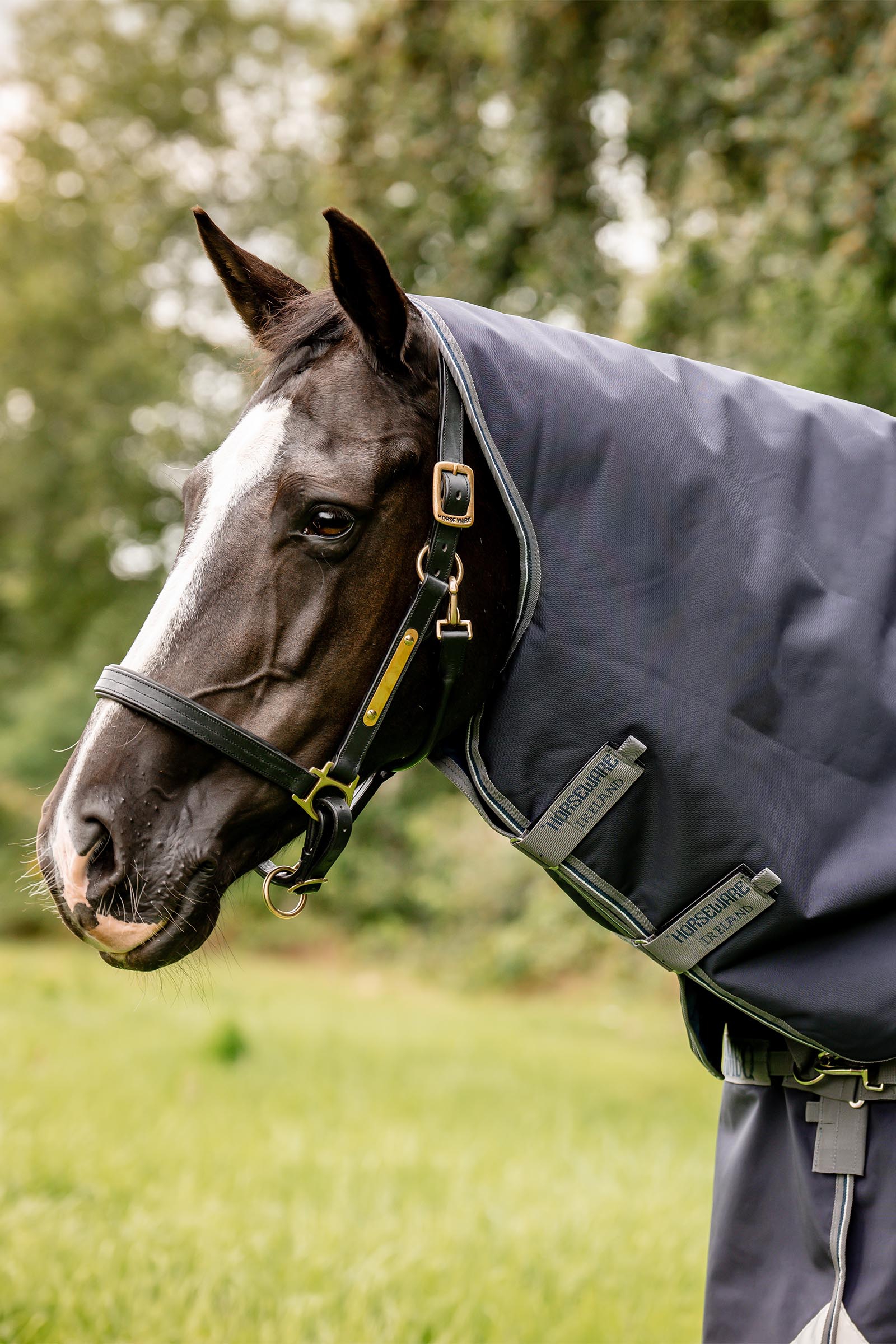 Horseware Rambo Optimo Plus Budle Weidedeken (met 200g Liner)