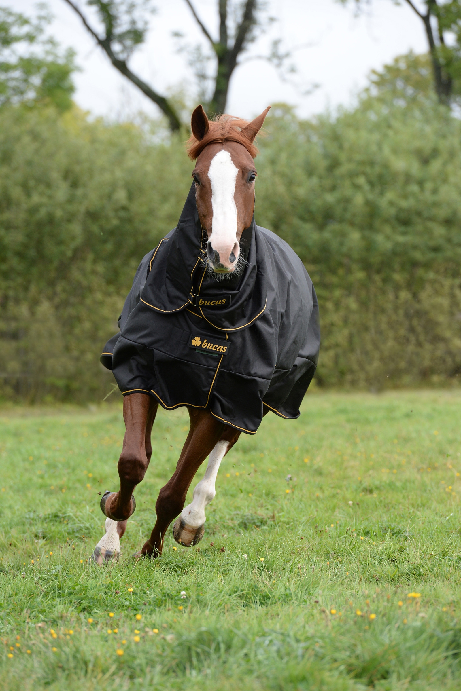 Bucas Irish Turnout Extra, pony