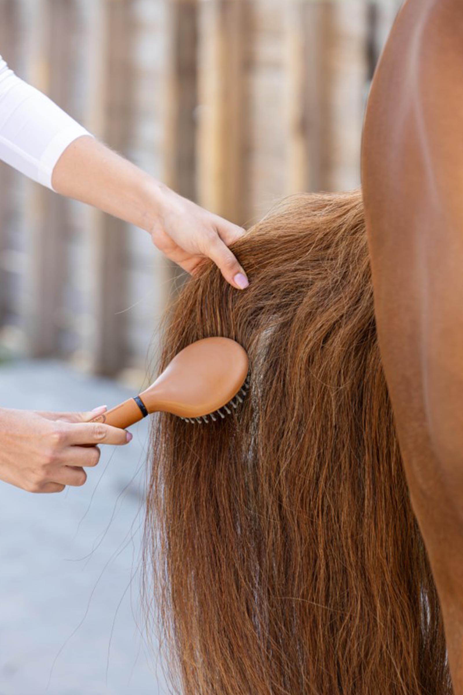 Covalliero Deluxe Mane Brush