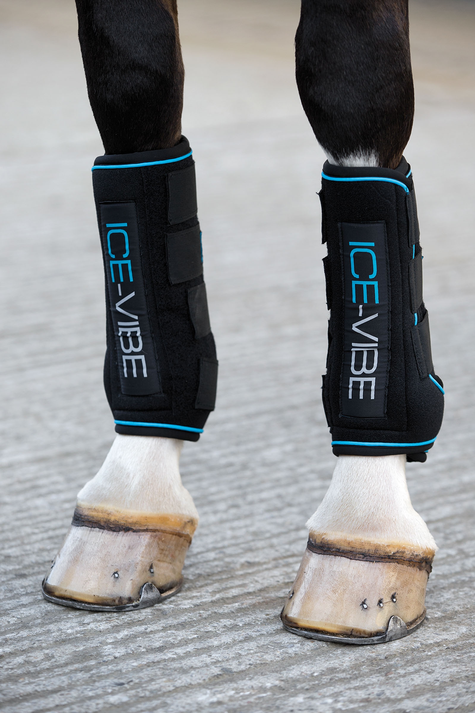 Horseware Ice-Vibe Beschermers
