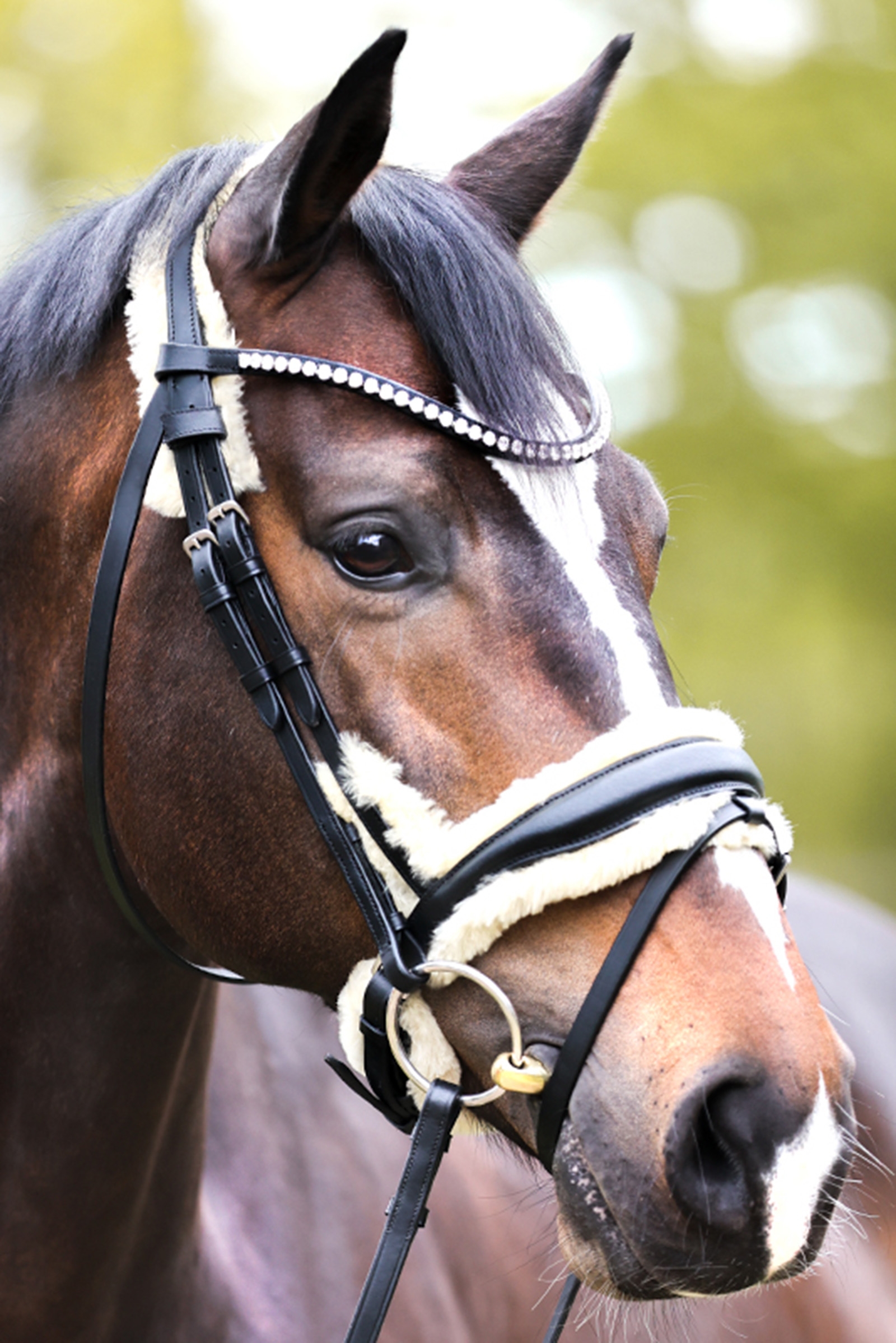 Kavalkade Joyce KavalSH4 Bridle