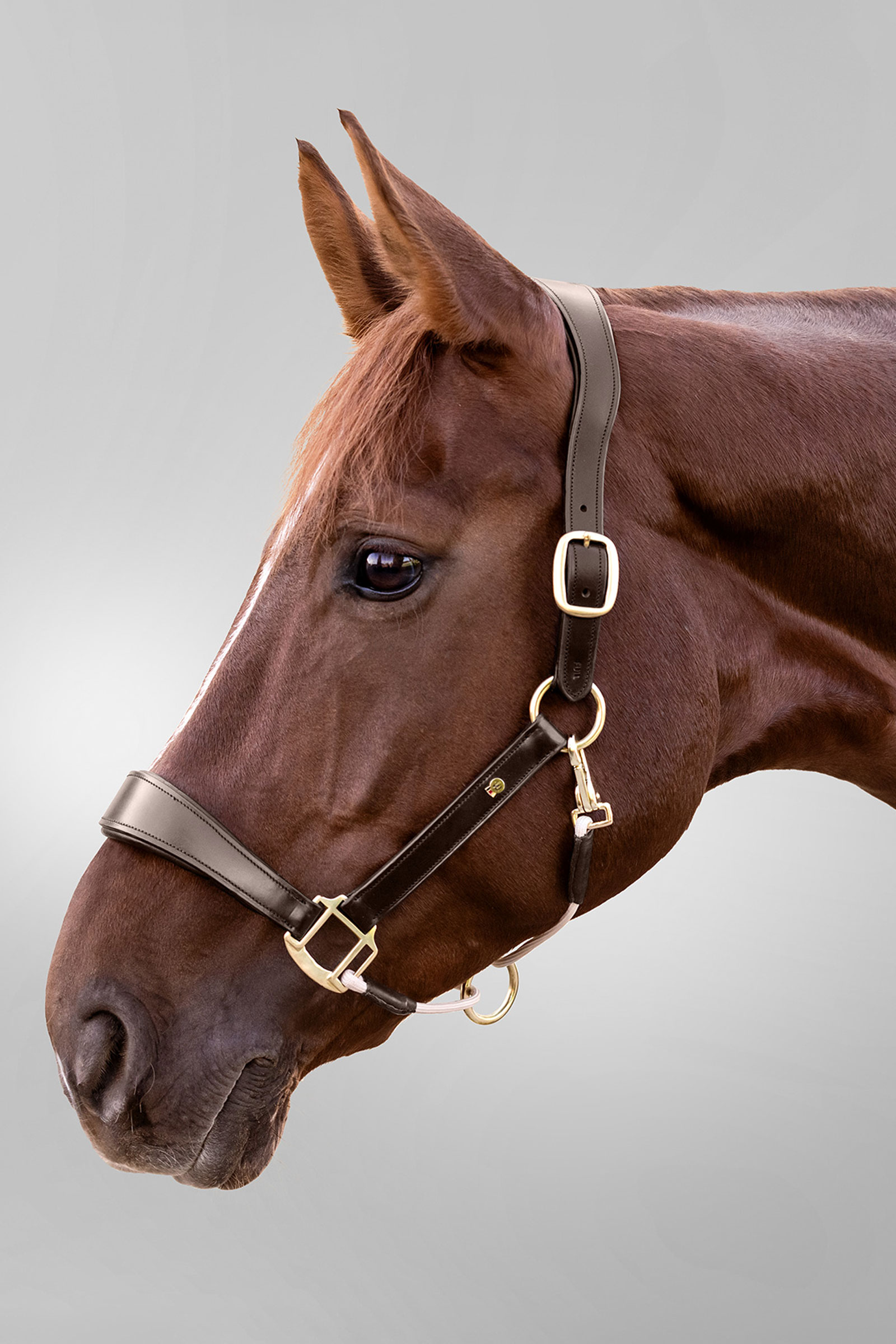 Royal Waldhausen S-Line leren halster