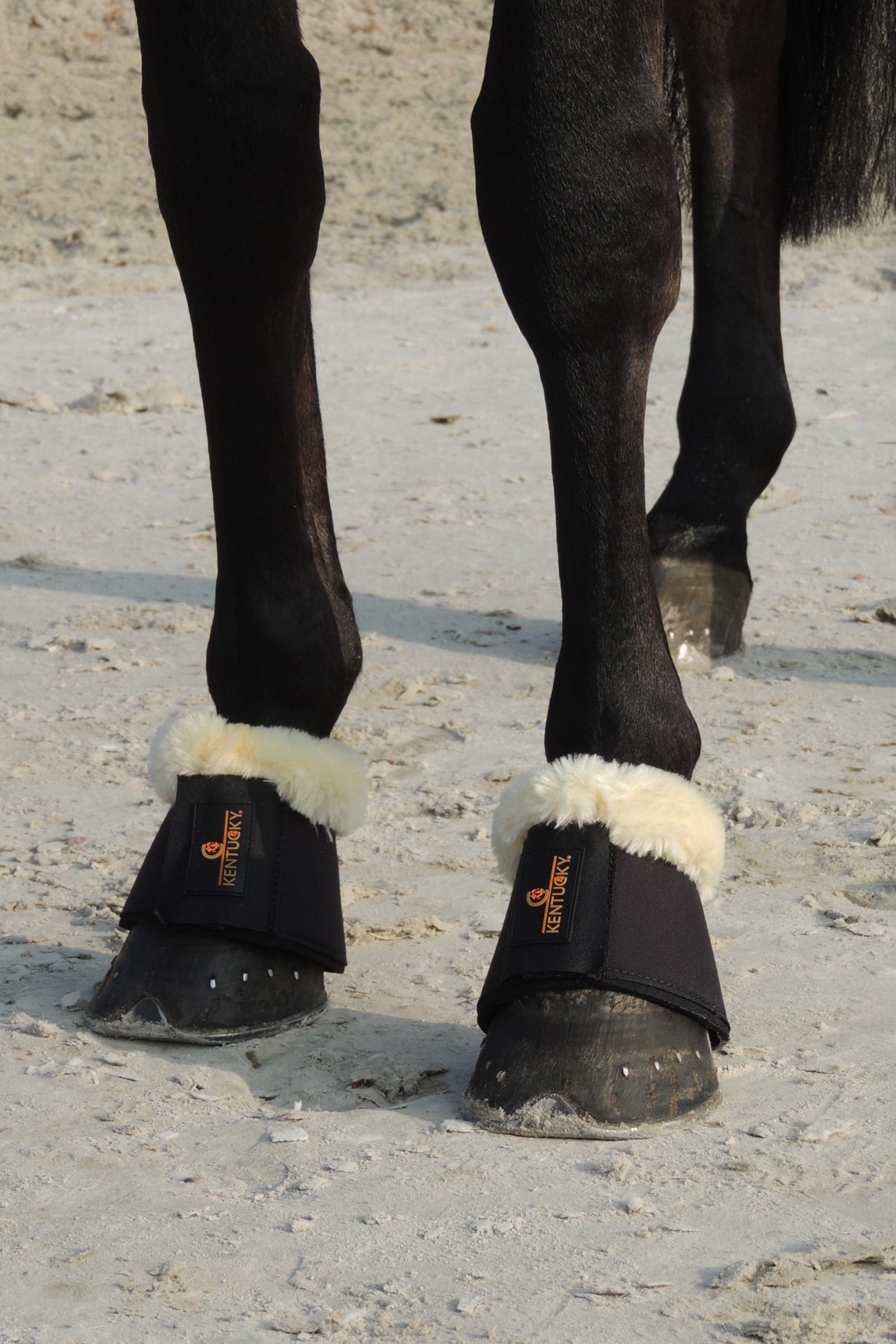 Kentucky Horsewear Springschoenen met Schapenvacht