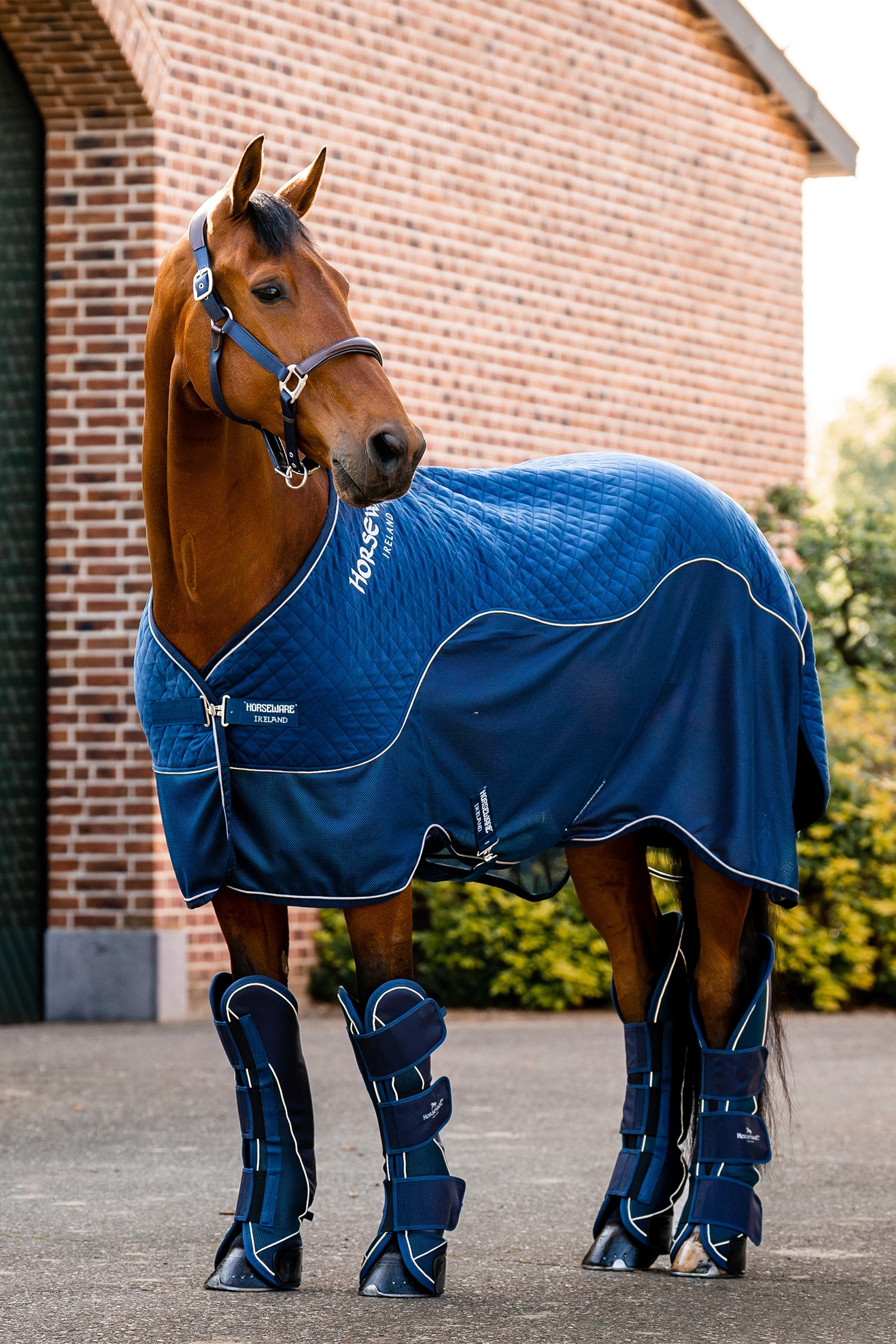 Horseware Signature Transportdeken, 50g