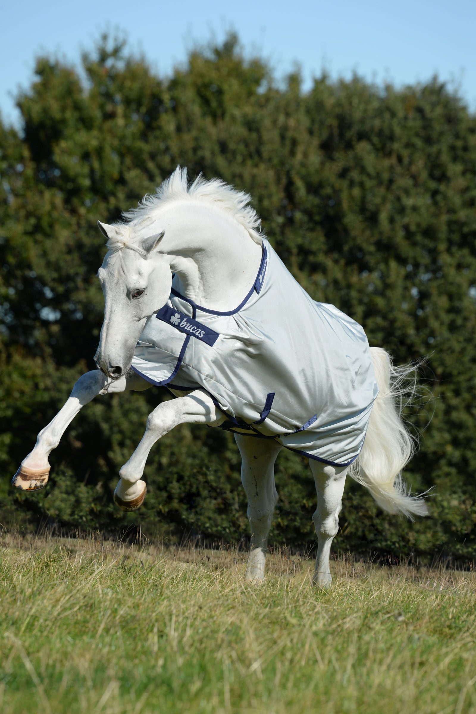 Bucas Power lichte outdoordeken, 0g