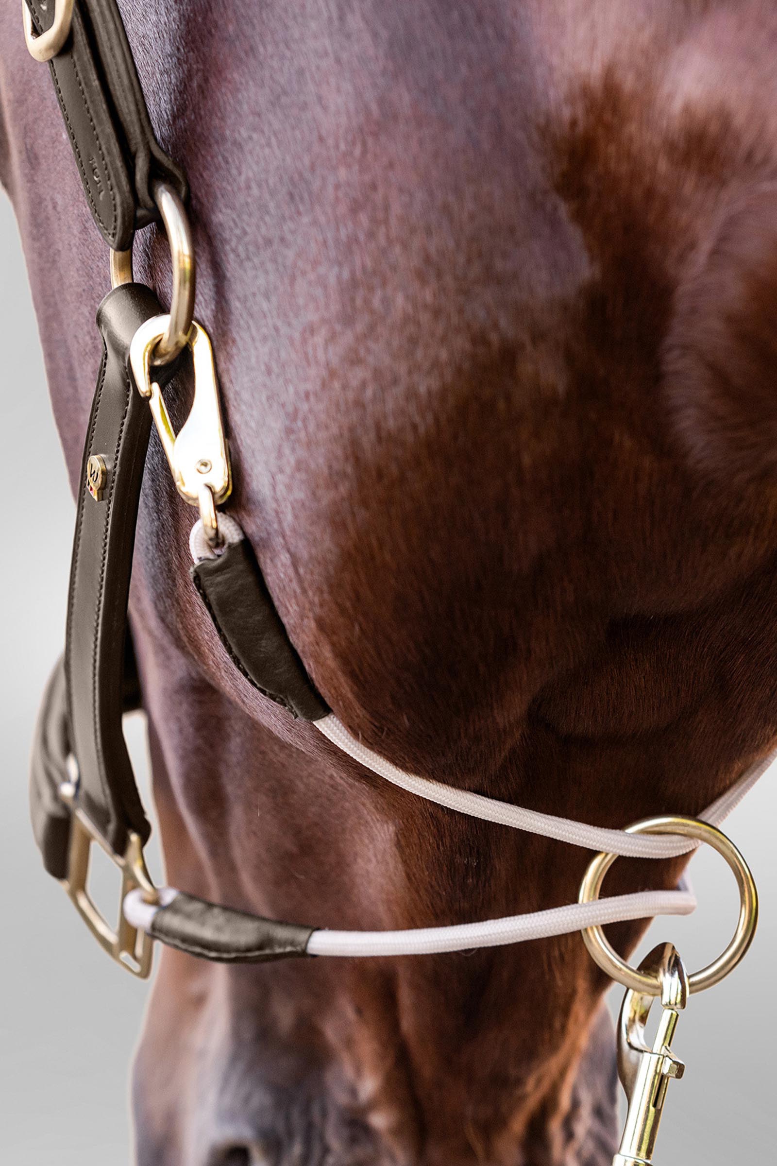 Royal Waldhausen S-Line leren halster