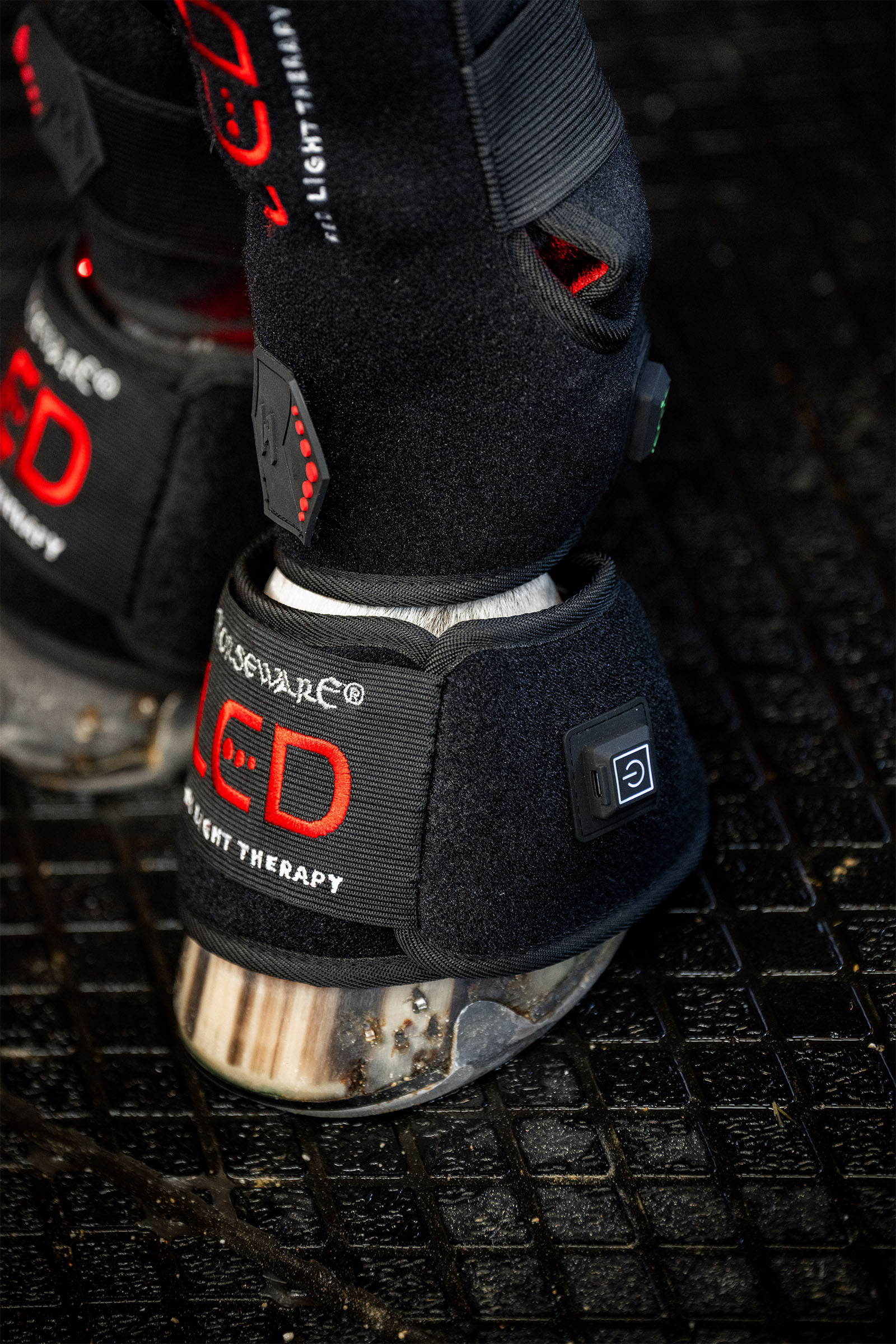 Horseware LED roodlichttherapie mini beenbeschermer (1 st.)