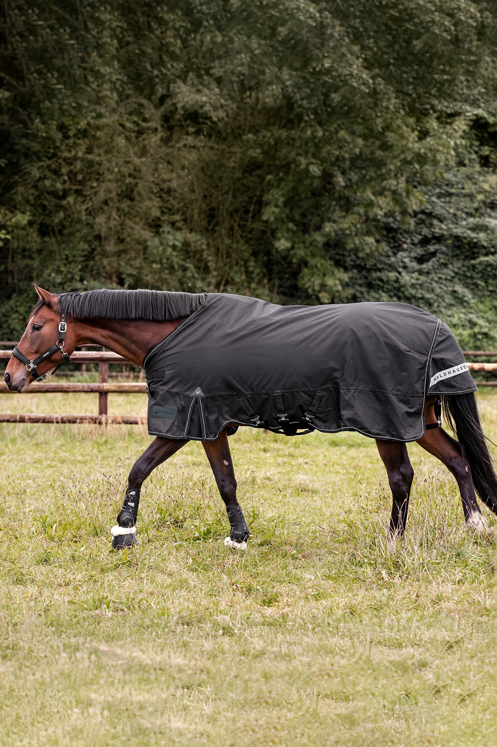 Waldhausen Outdoor Rug Scandic Light