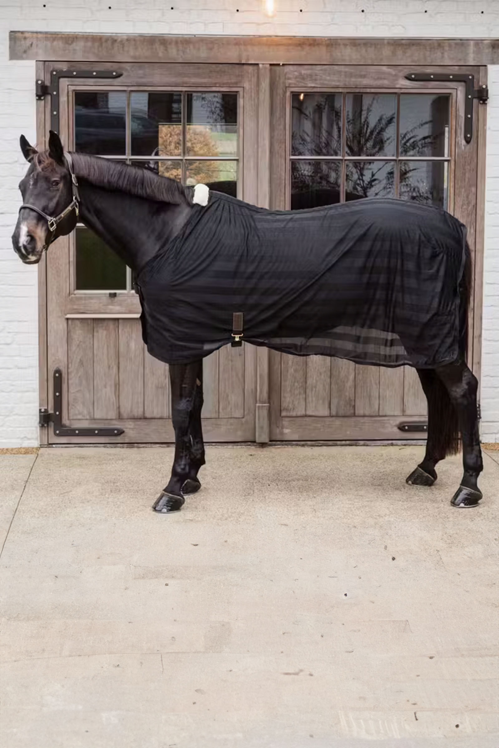 Kentucky Horsewear lichtgewicht gestreepte vliegendeken van mesh
