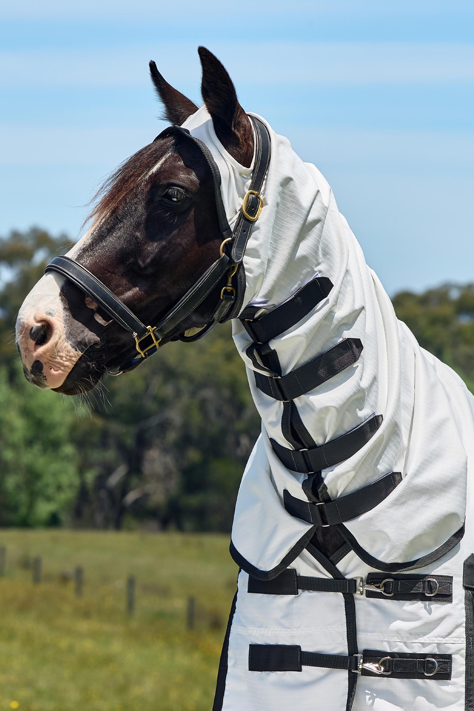 Weatherbeeta ComFiTec Sweet Itch Shield Vliegendeken combo met vaste hals, 0 g  