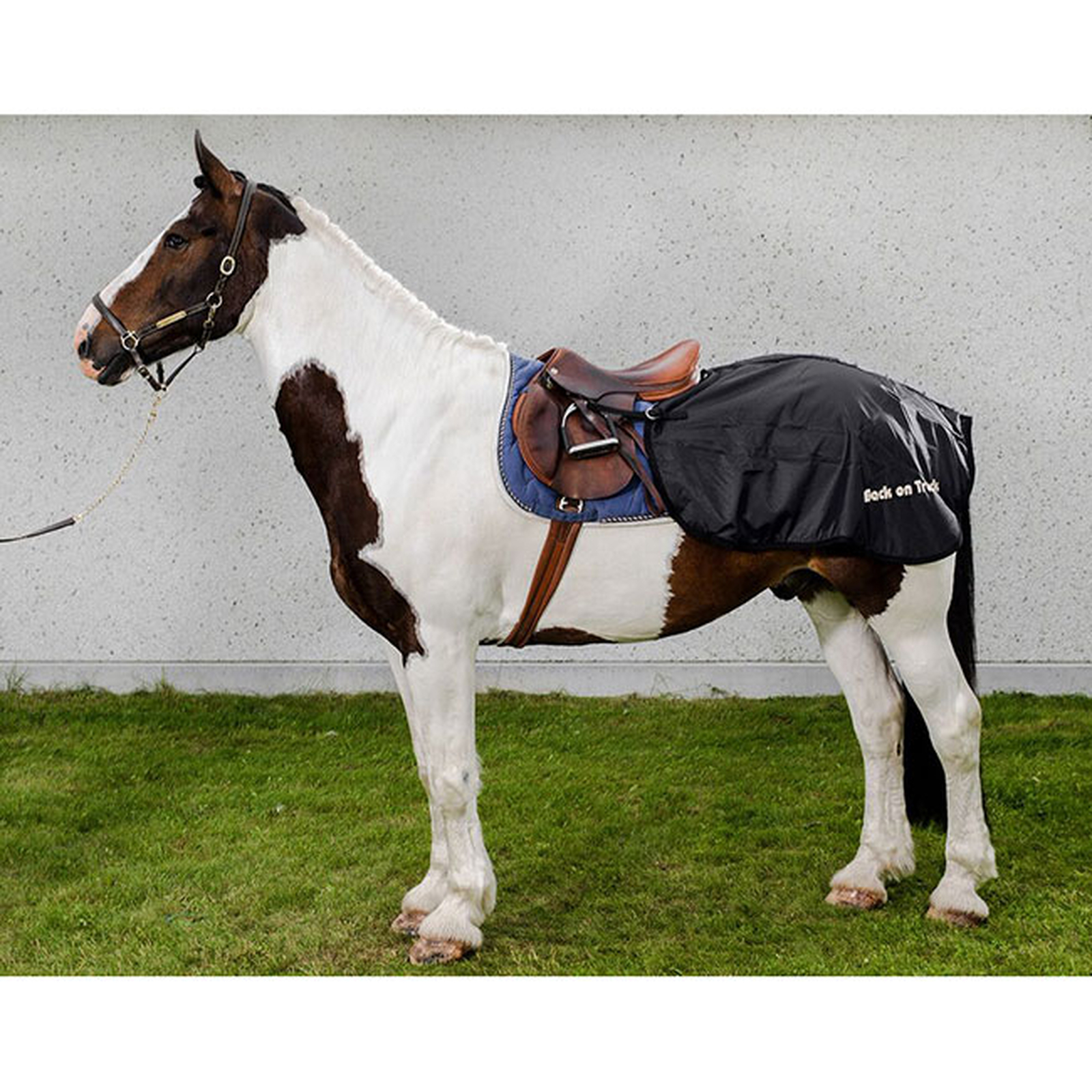 Back on Track Lendedeken