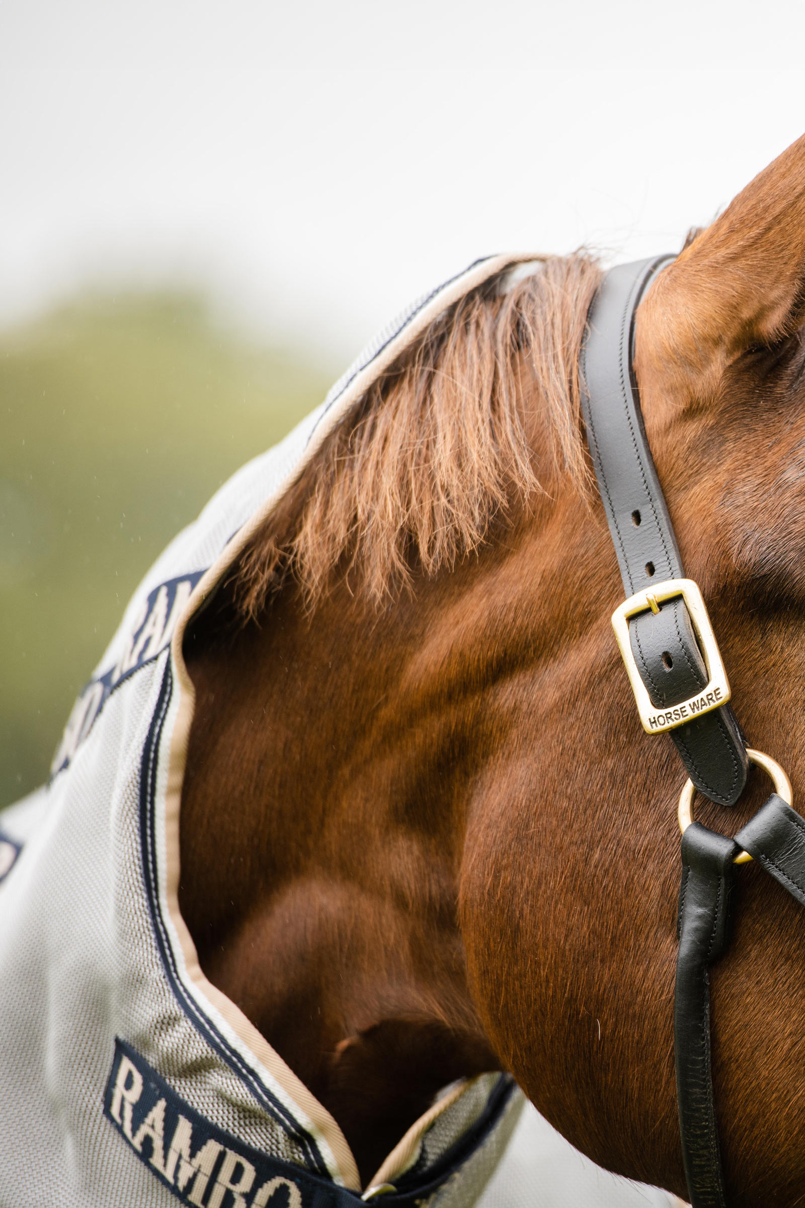 Horseware Rambo Protector vliegendeken met afneembare hals