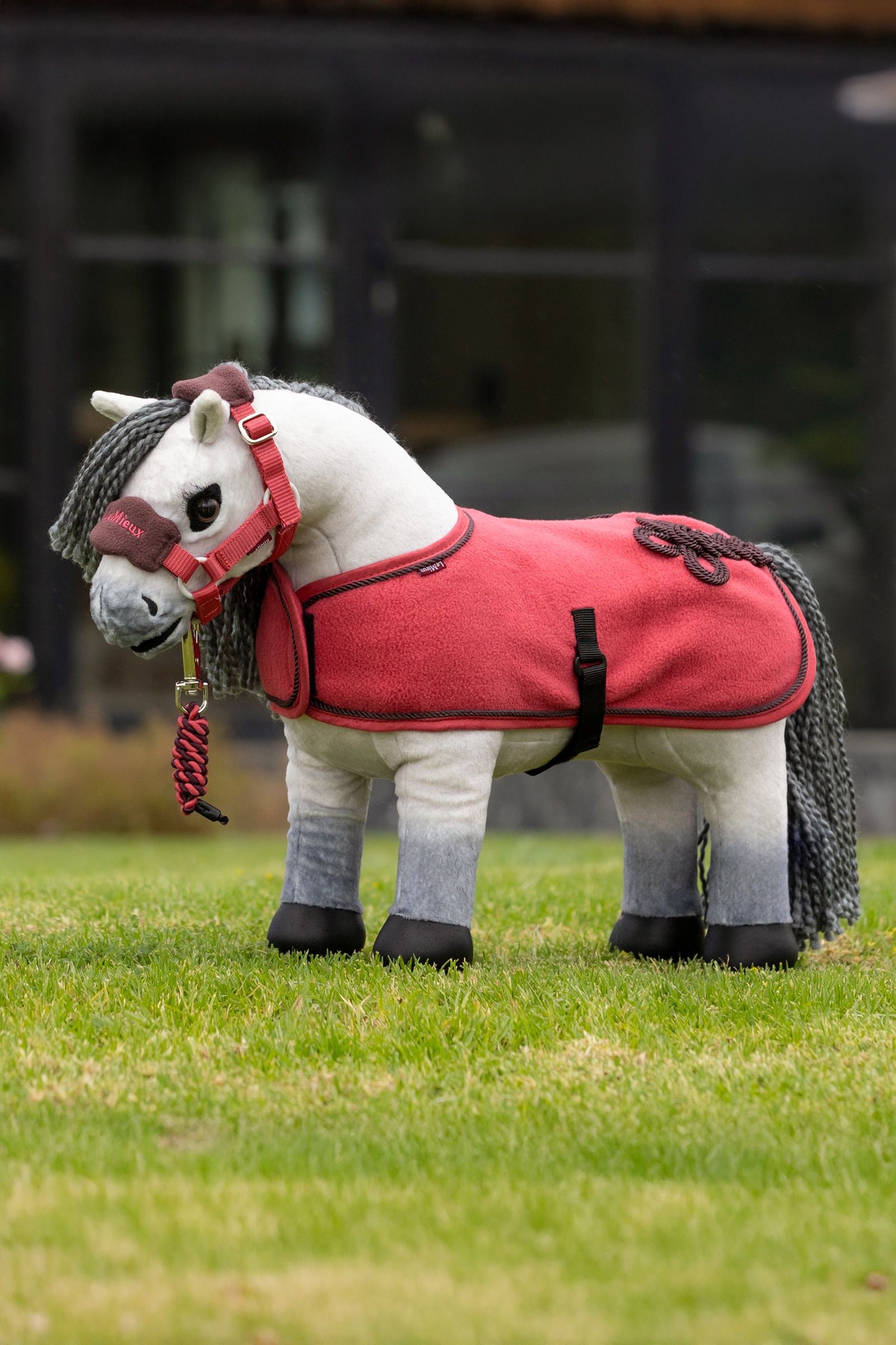 LeMieux Speelponymat