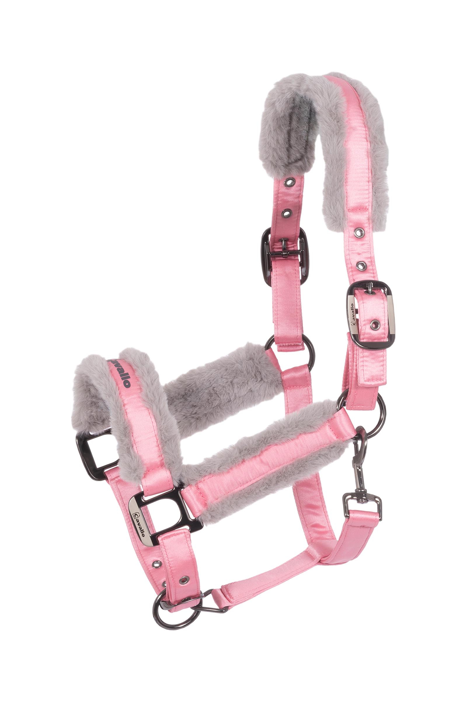 Powder Pink Cavallo CAVALJERO halster