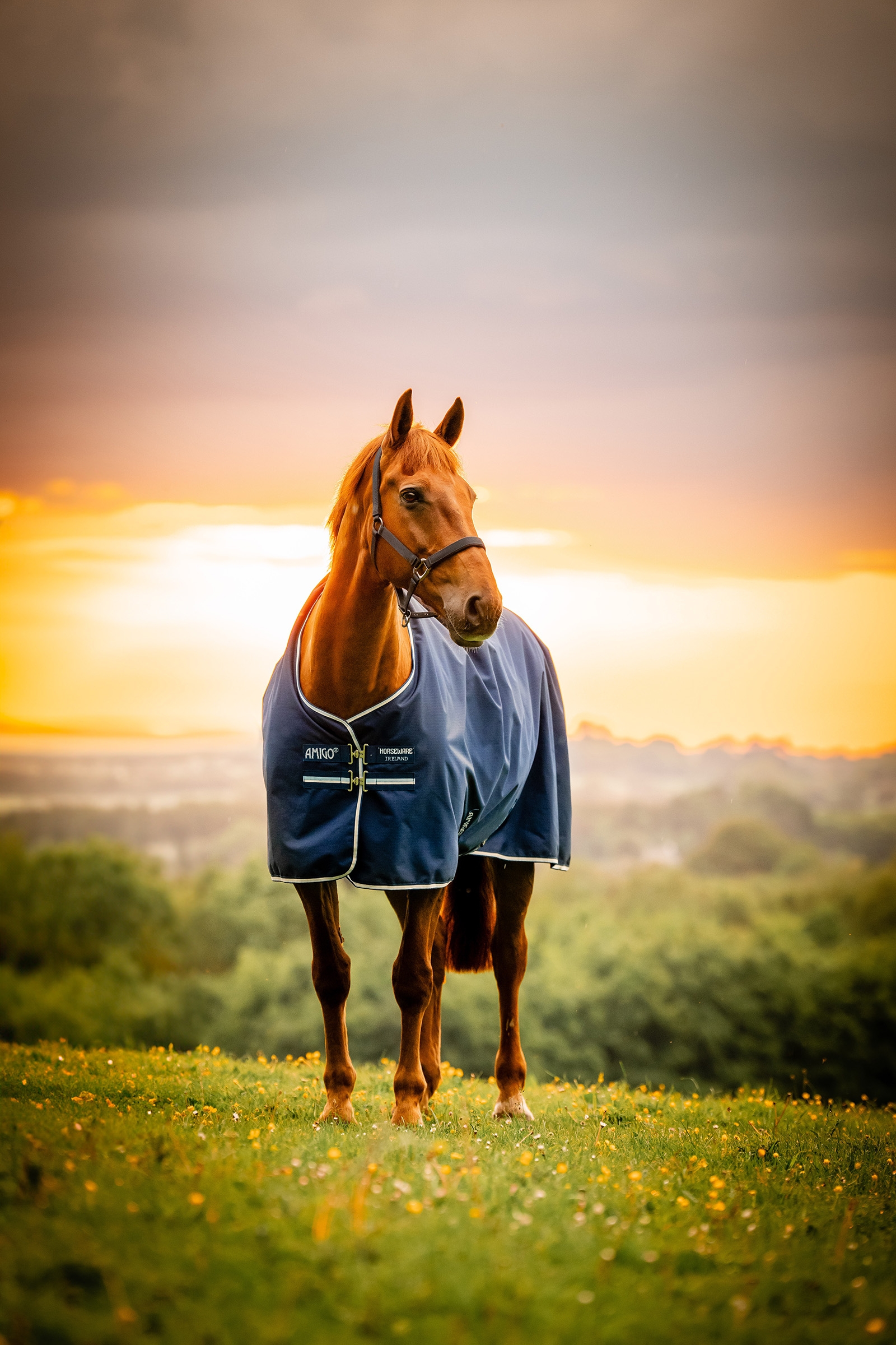 Witney Navy Horseware Amigo Ripstop 900D turnoutdeken met fleecevoering, 50 g