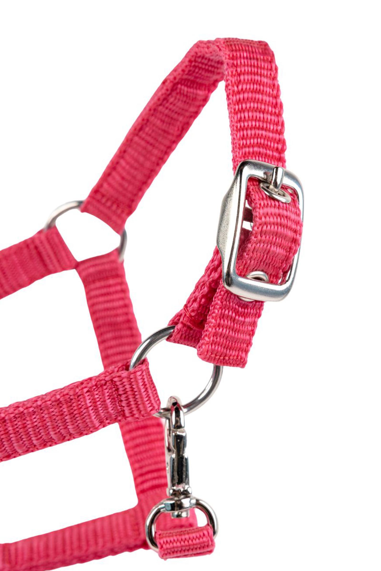 My Hobby Horse nylon halster