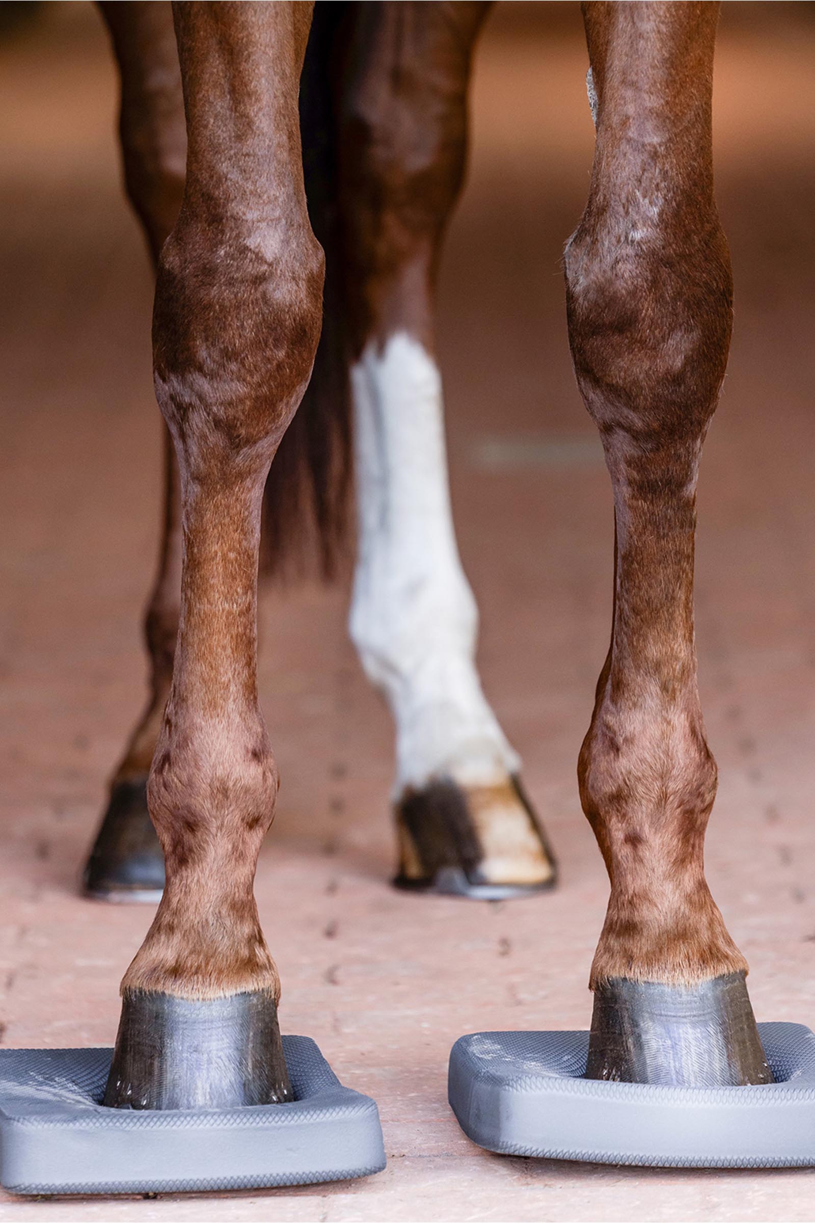 Waldhausen Health + Care Balance Pads