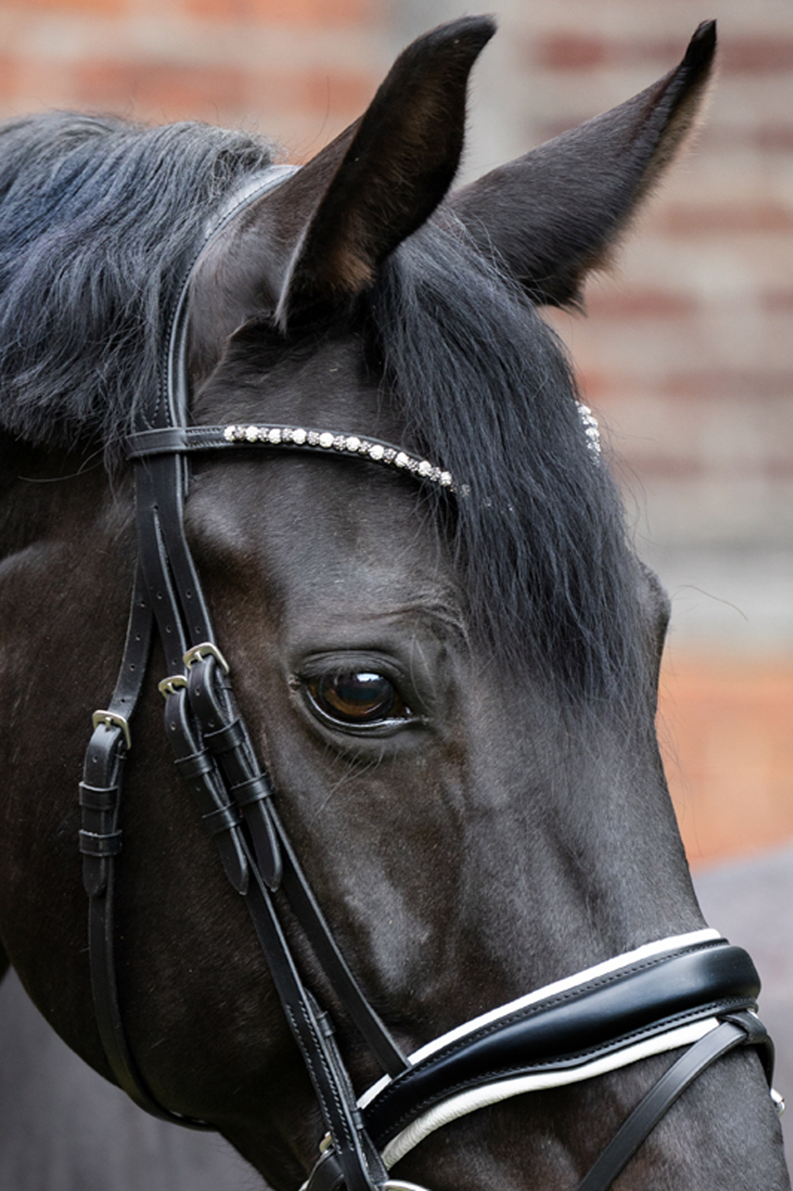 Kavalkade Pila Frontriem