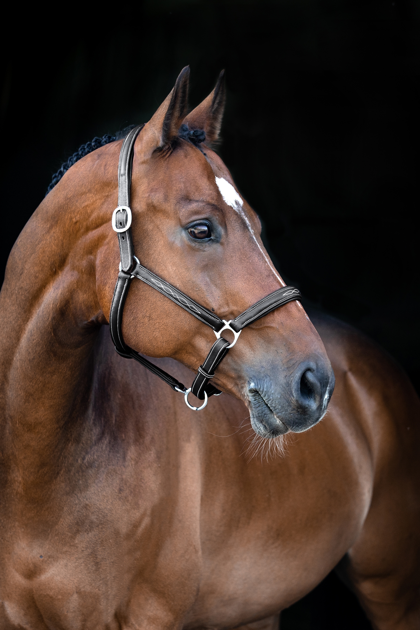 Horze Warren Zacht Leren Halster