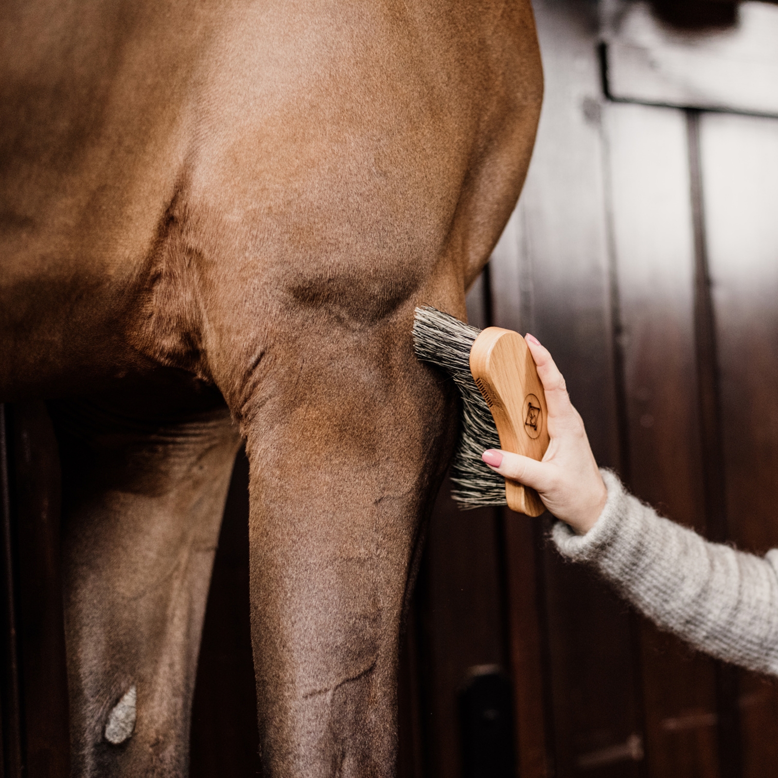 Grooming Deluxe Mittelgrote Borstel