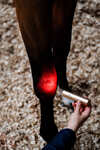 Horseware LED roodlichttherapie Staaf