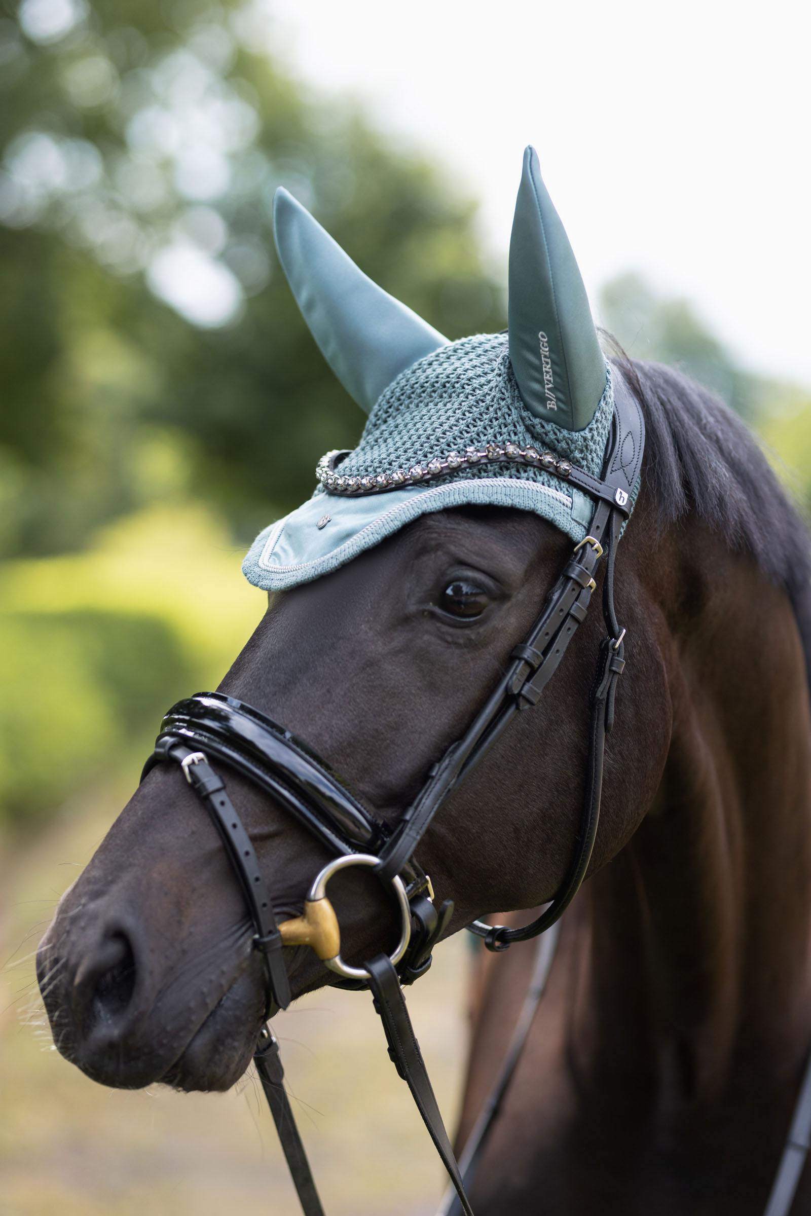 B Vertigo Pure Engineering oornetje