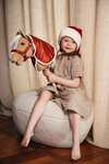 My Hobby Horse kerst glitter deken