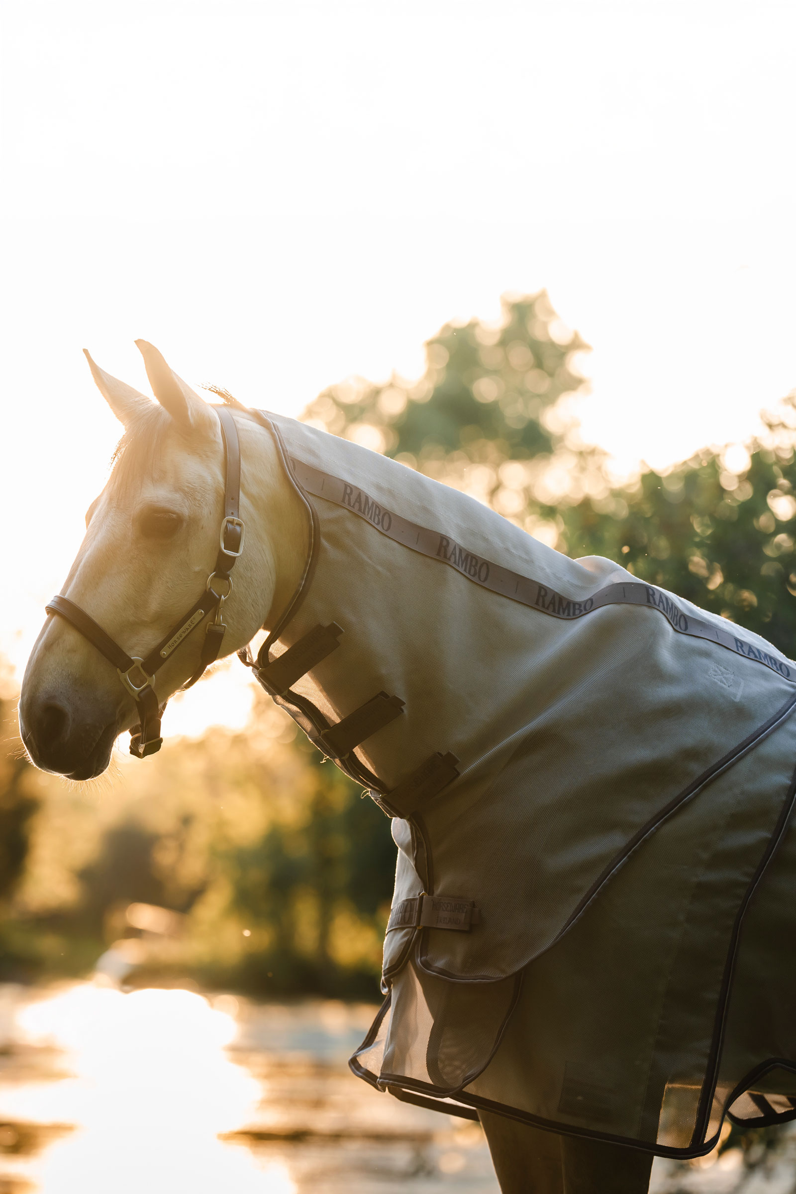 Horseware Rambo Optimo Protector Plus regendeken