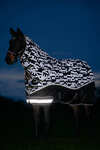 LeMieux Arika Reflective Turnout Rug With Detachable Neck, 200 g