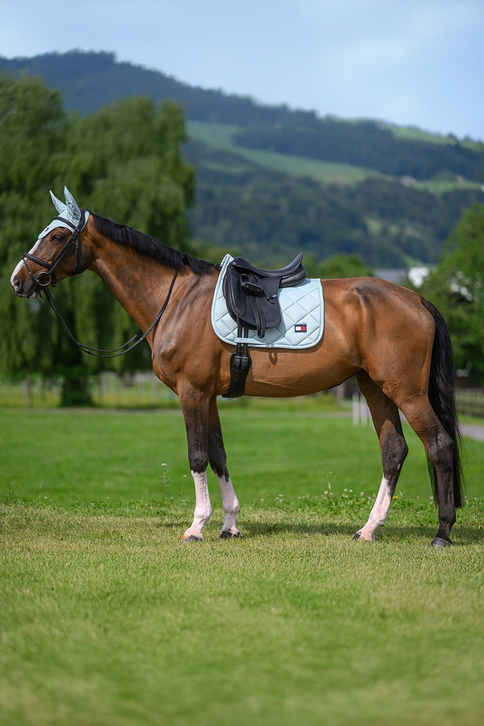 Tommy Hilfiger Equestrian Columbia dressuur zadeldek